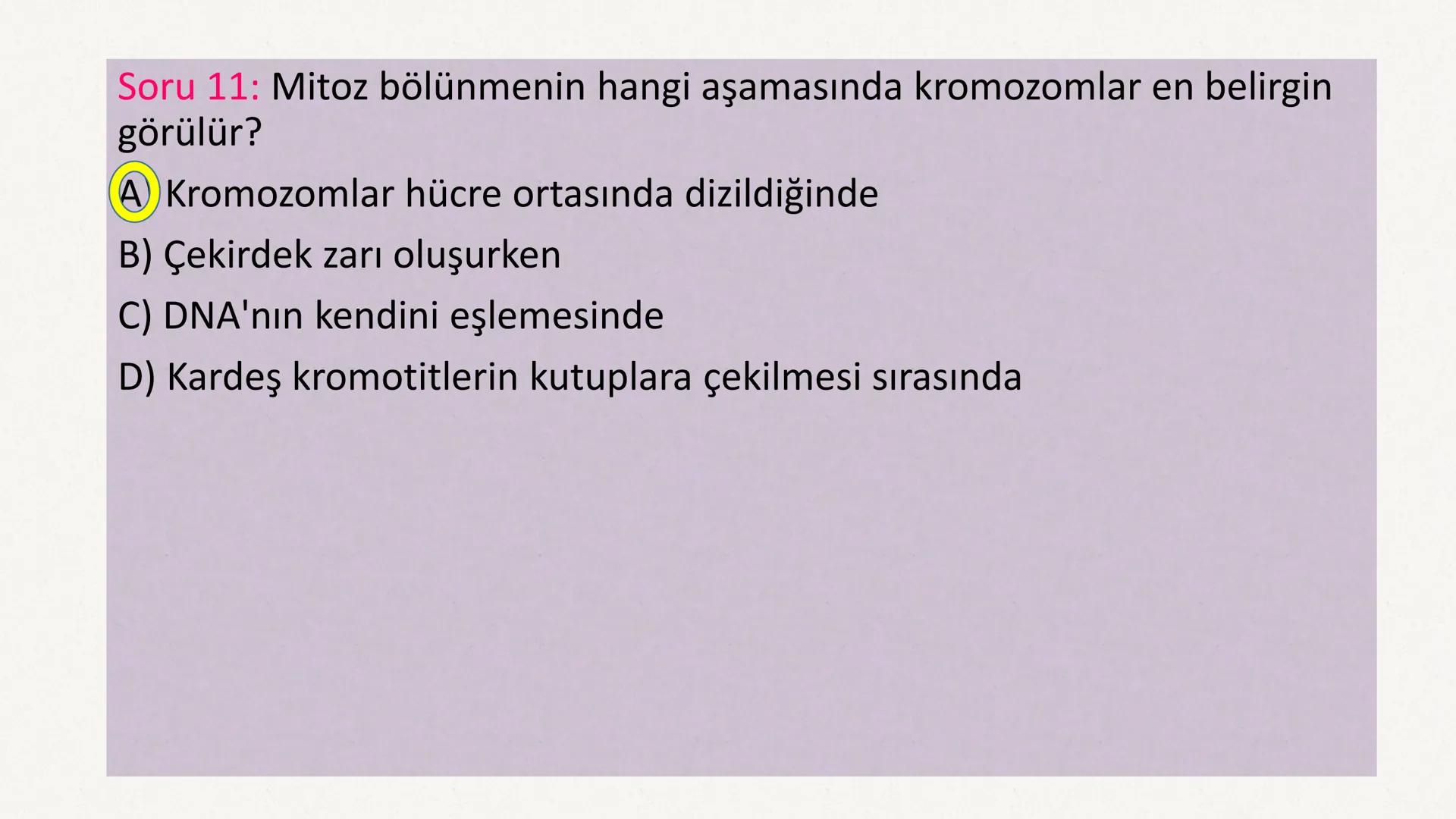 HÜCRE BÖLÜNMESİ HÜCRE BÖLÜNMESİ NEDİR?
Belirli bir büyüklüğe ulaşan hücrelerden, yeni hücrelerin oluşmasına "hücre
bölünmesi" denir.
Hücre b