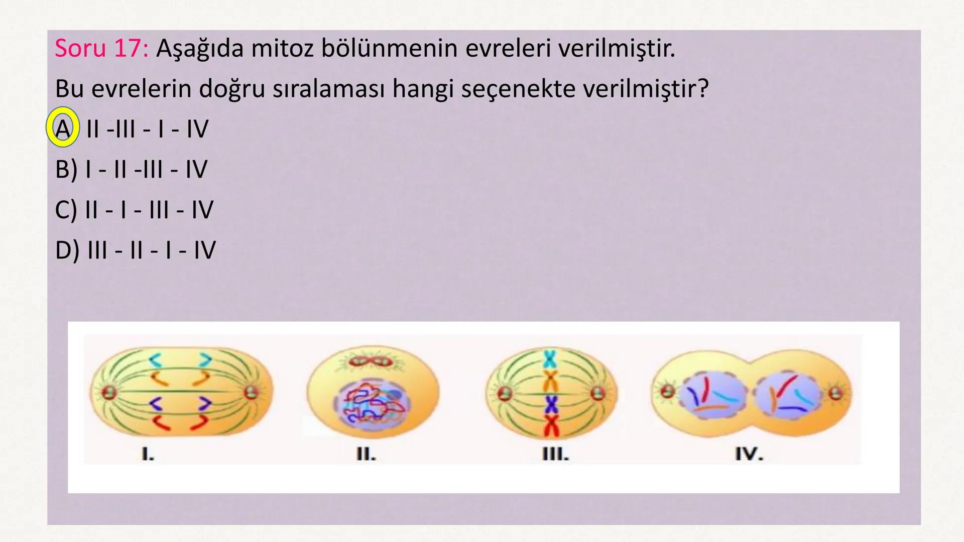 HÜCRE BÖLÜNMESİ HÜCRE BÖLÜNMESİ NEDİR?
Belirli bir büyüklüğe ulaşan hücrelerden, yeni hücrelerin oluşmasına "hücre
bölünmesi" denir.
Hücre b