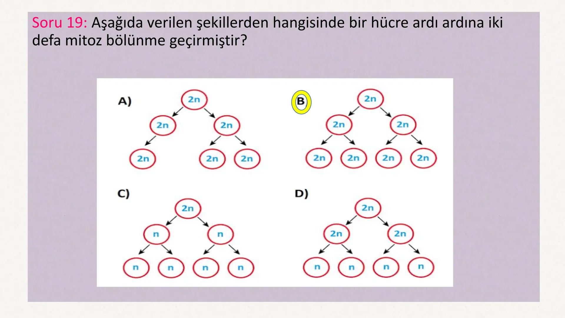 HÜCRE BÖLÜNMESİ HÜCRE BÖLÜNMESİ NEDİR?
Belirli bir büyüklüğe ulaşan hücrelerden, yeni hücrelerin oluşmasına "hücre
bölünmesi" denir.
Hücre b