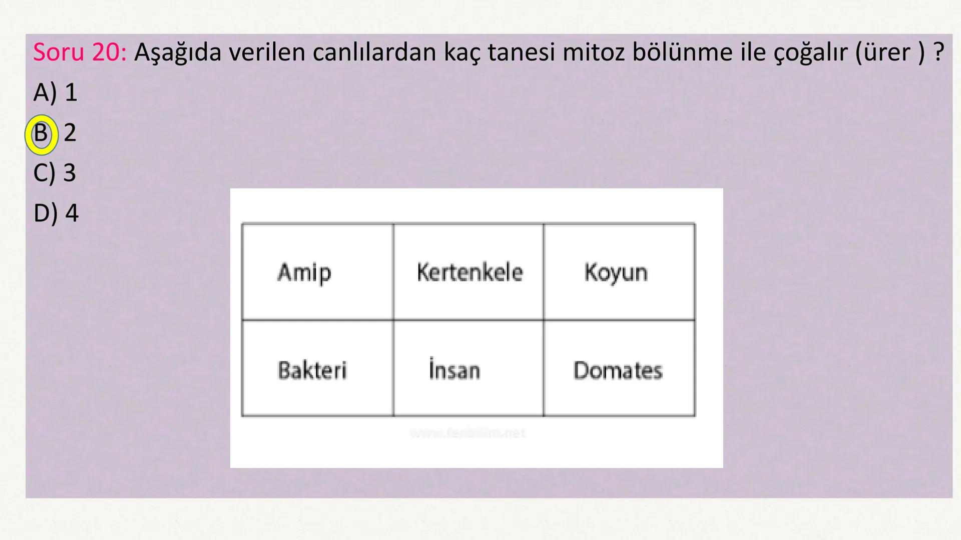 HÜCRE BÖLÜNMESİ HÜCRE BÖLÜNMESİ NEDİR?
Belirli bir büyüklüğe ulaşan hücrelerden, yeni hücrelerin oluşmasına "hücre
bölünmesi" denir.
Hücre b