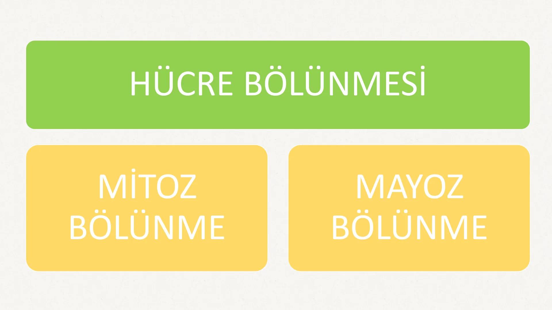 HÜCRE BÖLÜNMESİ HÜCRE BÖLÜNMESİ NEDİR?
Belirli bir büyüklüğe ulaşan hücrelerden, yeni hücrelerin oluşmasına "hücre
bölünmesi" denir.
Hücre b