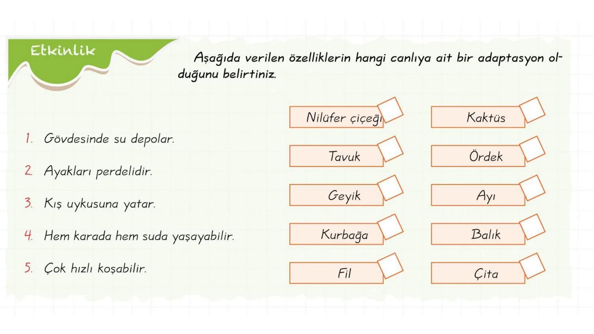 # ADAPTASYON
(ÇEVREYE
UYUM) Bir türün neslini devam ettirebilmesi için değişen
çevre koşullarına karşı sürekli uyum sağlayabilme
yeteneğinde
