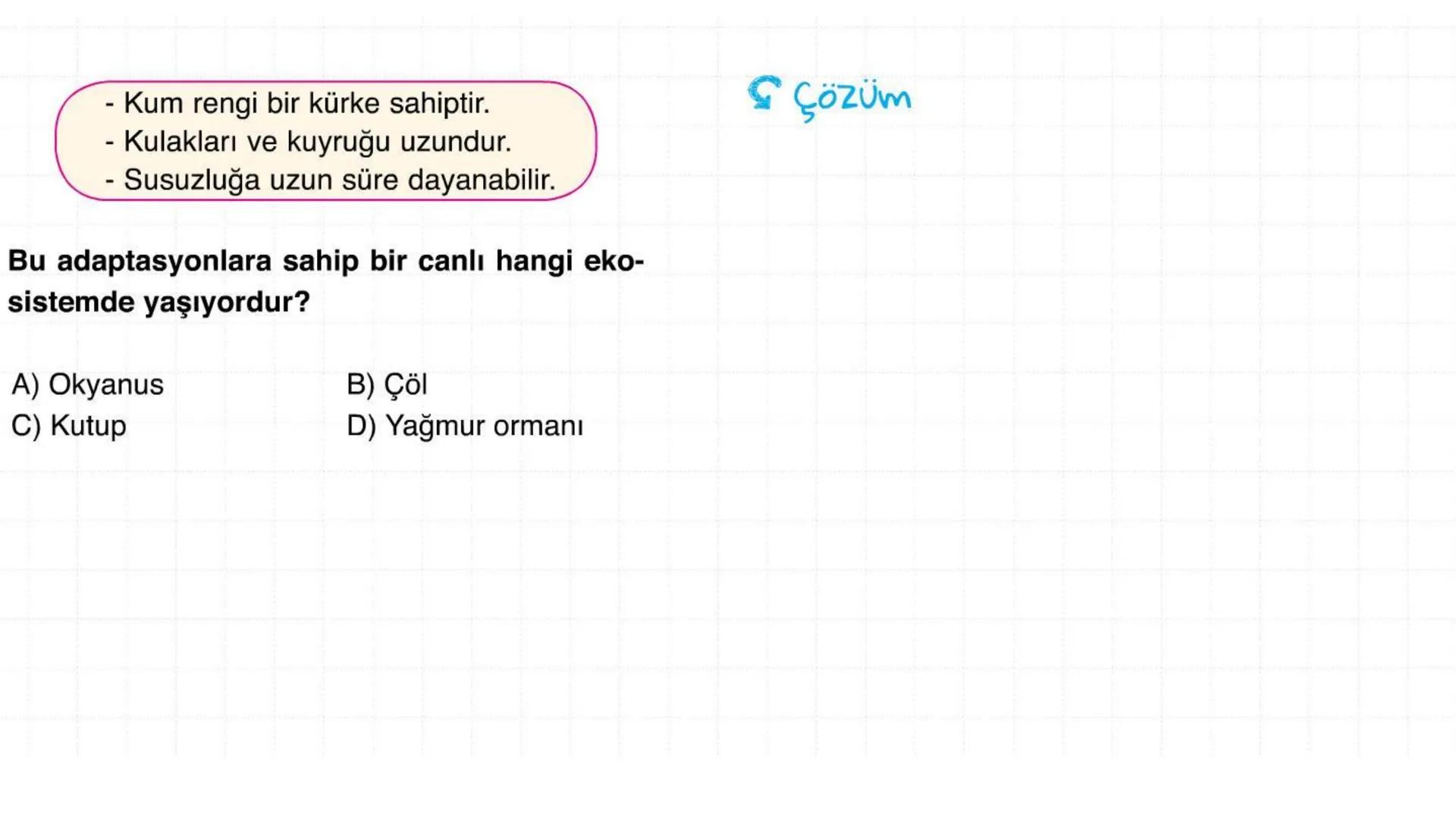 # ADAPTASYON
(ÇEVREYE
UYUM) Bir türün neslini devam ettirebilmesi için değişen
çevre koşullarına karşı sürekli uyum sağlayabilme
yeteneğinde