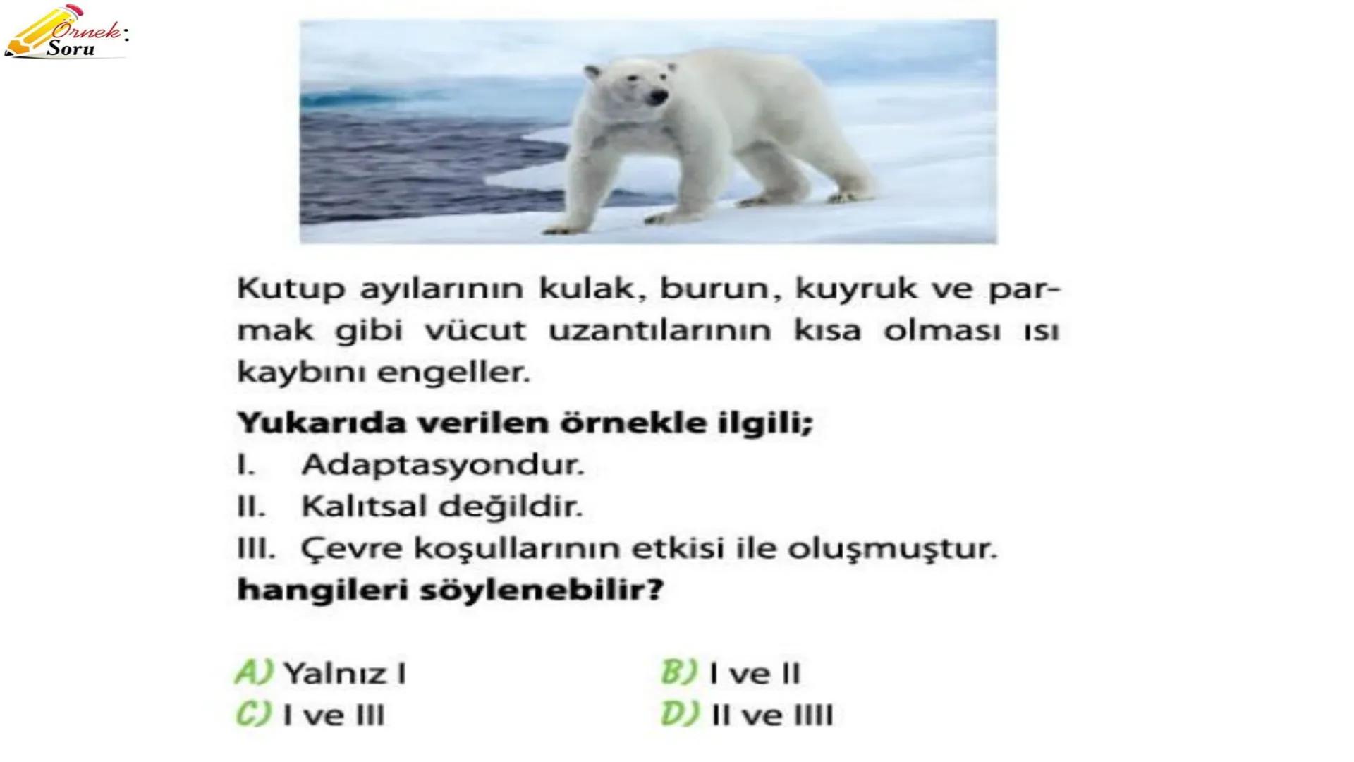 # ADAPTASYON
(ÇEVREYE
UYUM) Bir türün neslini devam ettirebilmesi için değişen
çevre koşullarına karşı sürekli uyum sağlayabilme
yeteneğinde