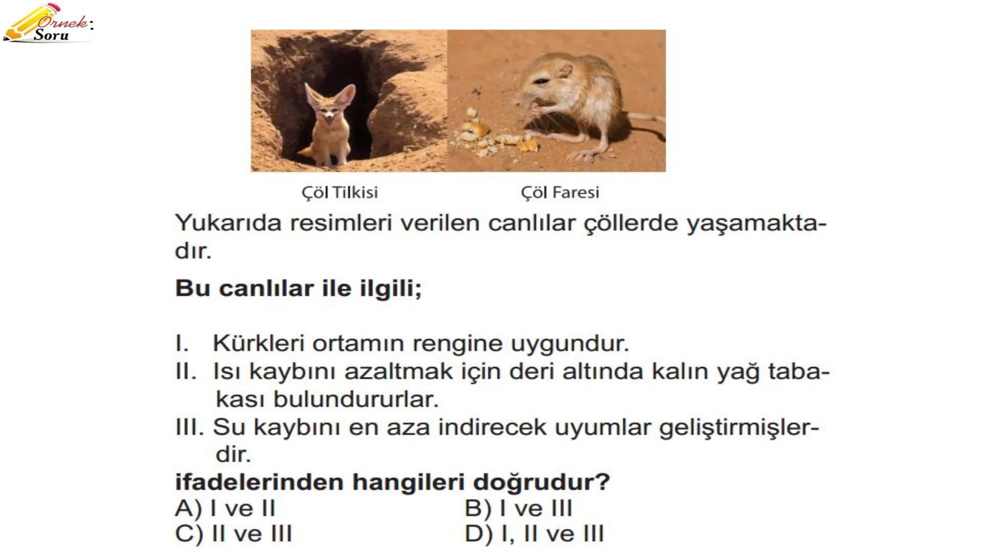 # ADAPTASYON
(ÇEVREYE
UYUM) Bir türün neslini devam ettirebilmesi için değişen
çevre koşullarına karşı sürekli uyum sağlayabilme
yeteneğinde