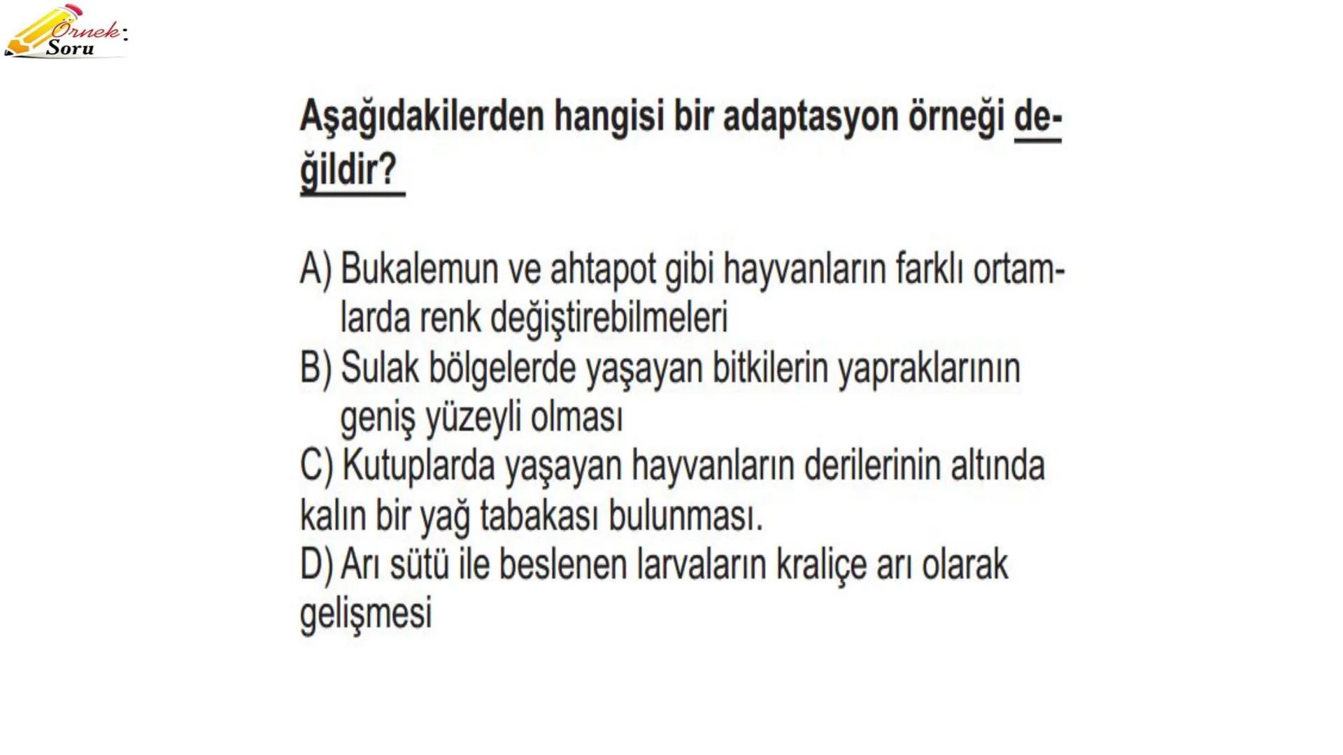# ADAPTASYON
(ÇEVREYE
UYUM) Bir türün neslini devam ettirebilmesi için değişen
çevre koşullarına karşı sürekli uyum sağlayabilme
yeteneğinde
