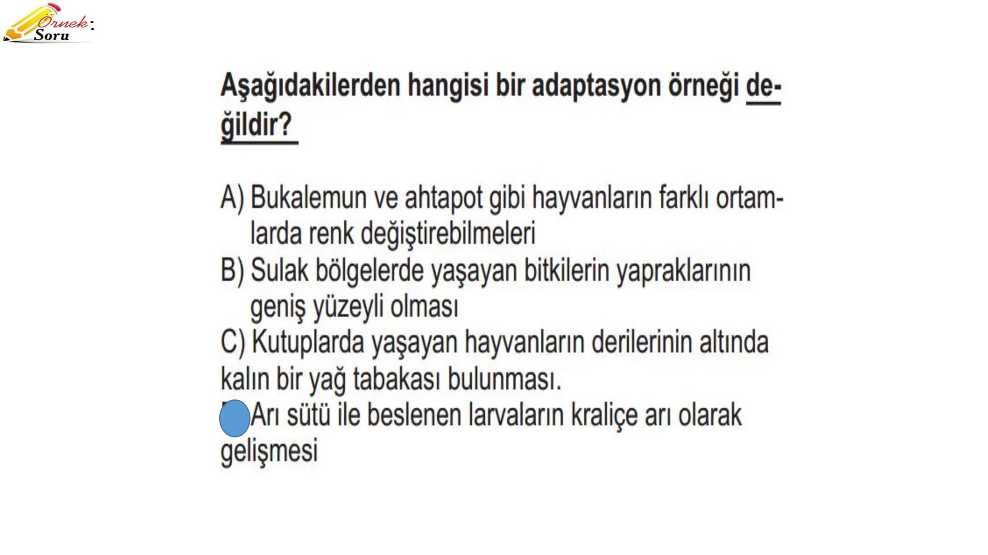 # ADAPTASYON
(ÇEVREYE
UYUM) Bir türün neslini devam ettirebilmesi için değişen
çevre koşullarına karşı sürekli uyum sağlayabilme
yeteneğinde