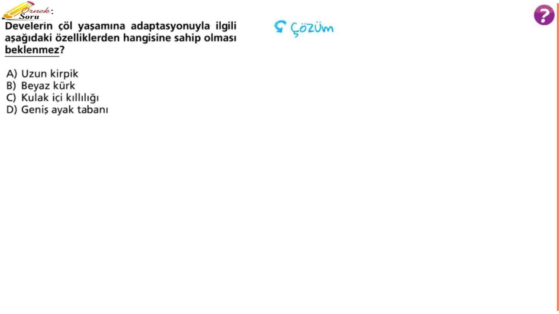 # ADAPTASYON
(ÇEVREYE
UYUM) Bir türün neslini devam ettirebilmesi için değişen
çevre koşullarına karşı sürekli uyum sağlayabilme
yeteneğinde