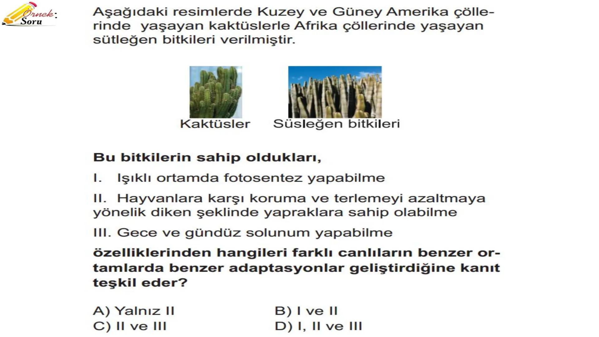 # ADAPTASYON
(ÇEVREYE
UYUM) Bir türün neslini devam ettirebilmesi için değişen
çevre koşullarına karşı sürekli uyum sağlayabilme
yeteneğinde