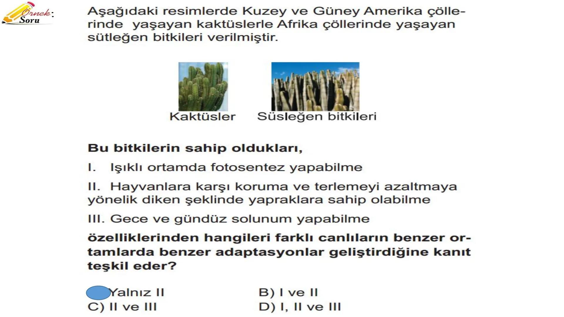 # ADAPTASYON
(ÇEVREYE
UYUM) Bir türün neslini devam ettirebilmesi için değişen
çevre koşullarına karşı sürekli uyum sağlayabilme
yeteneğinde