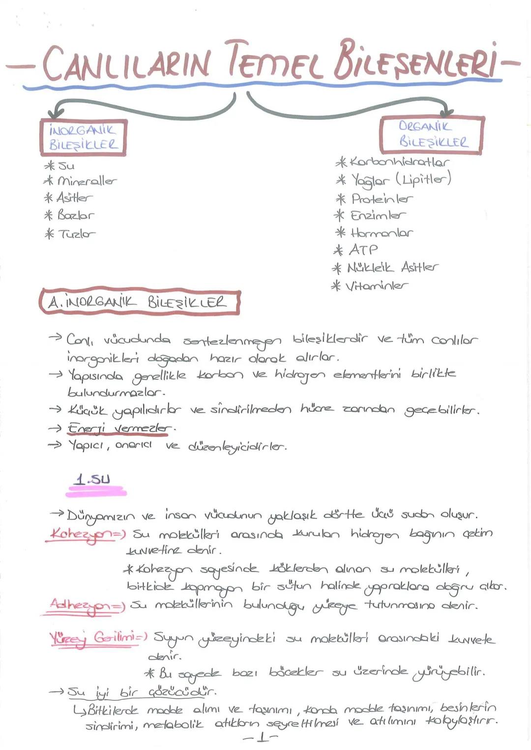 # - CANLILARIN TEMEL BİLESENLERİ-
INORGANIK
BİLEŞİKLER
*Su
*Mineraller
* Asitler
* Bazlar
* Tuzlor
ORGANIK
BILEŞİKLER
*Korbonhidratlar
* Y