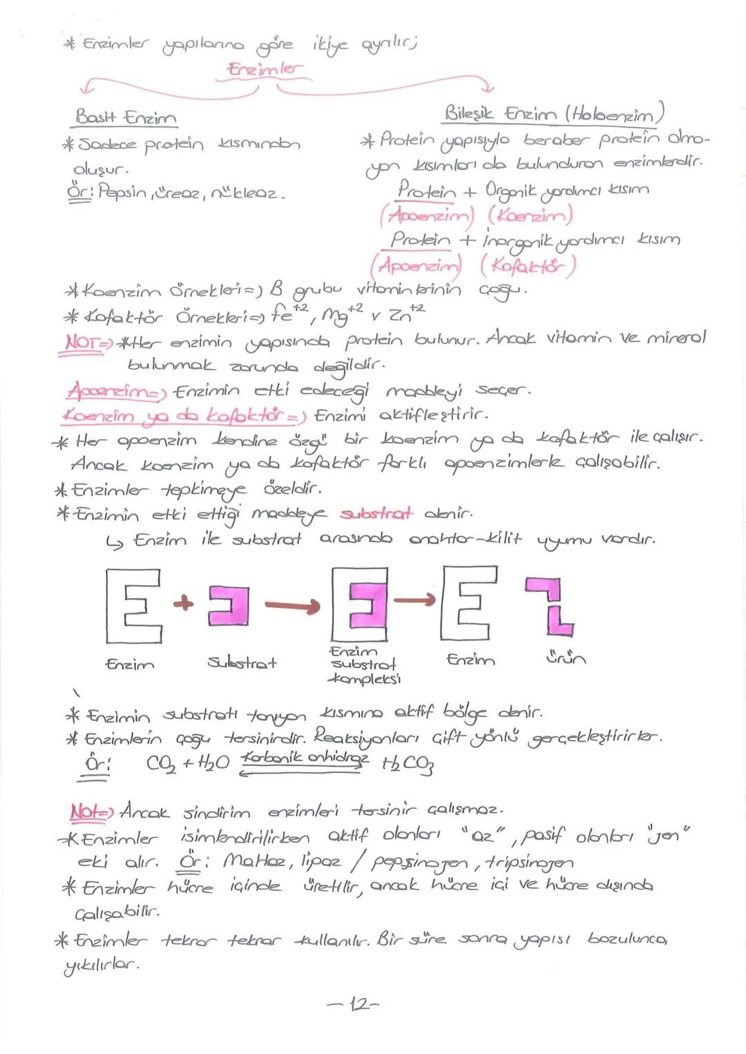# - CANLILARIN TEMEL BİLESENLERİ-
INORGANIK
BİLEŞİKLER
*Su
*Mineraller
* Asitler
* Bazlar
* Tuzlor
ORGANIK
BILEŞİKLER
*Korbonhidratlar
* Y