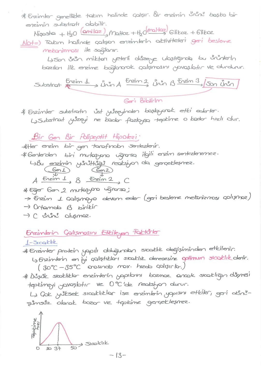 # - CANLILARIN TEMEL BİLESENLERİ-
INORGANIK
BİLEŞİKLER
*Su
*Mineraller
* Asitler
* Bazlar
* Tuzlor
ORGANIK
BILEŞİKLER
*Korbonhidratlar
* Y
