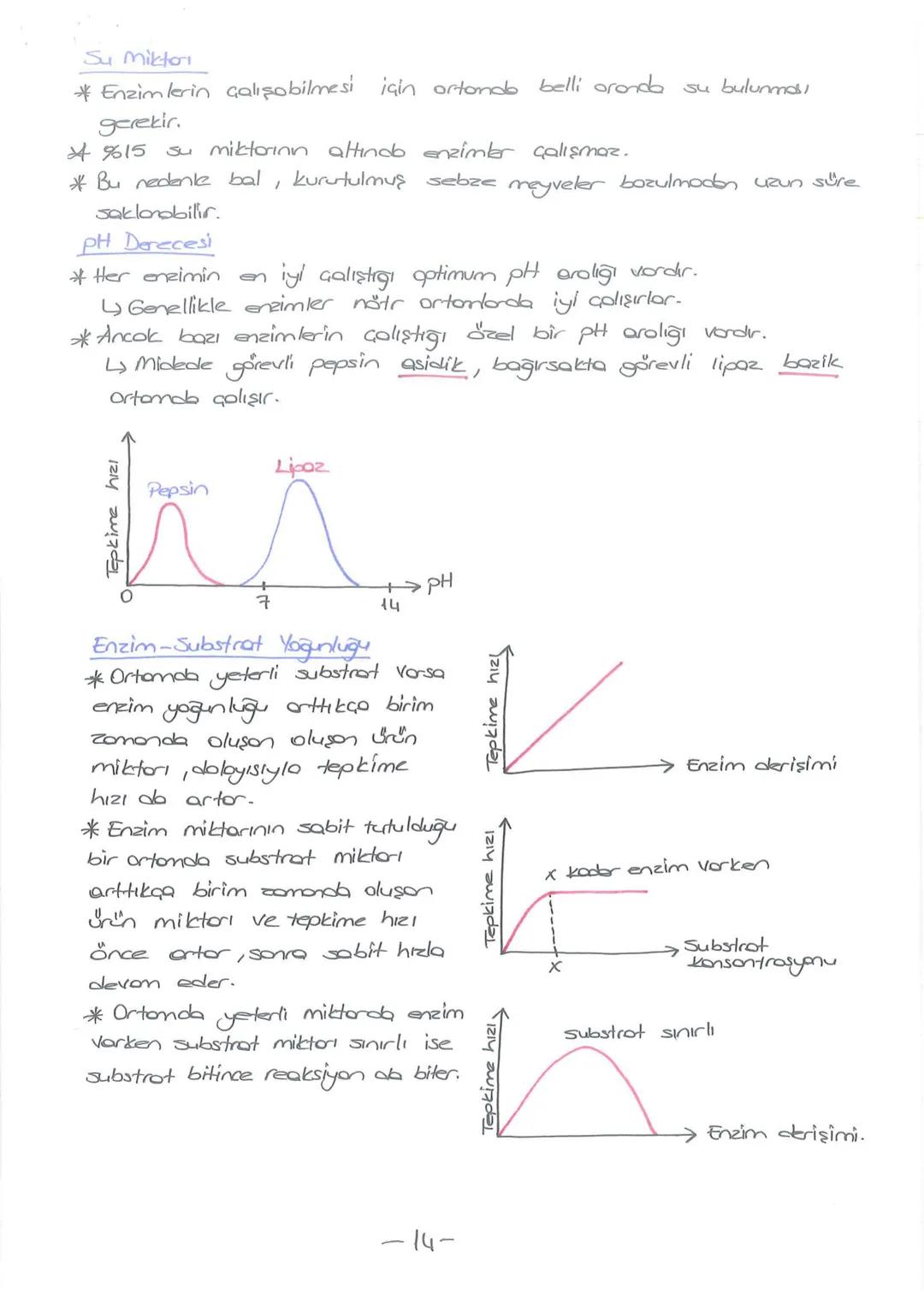 # - CANLILARIN TEMEL BİLESENLERİ-
INORGANIK
BİLEŞİKLER
*Su
*Mineraller
* Asitler
* Bazlar
* Tuzlor
ORGANIK
BILEŞİKLER
*Korbonhidratlar
* Y
