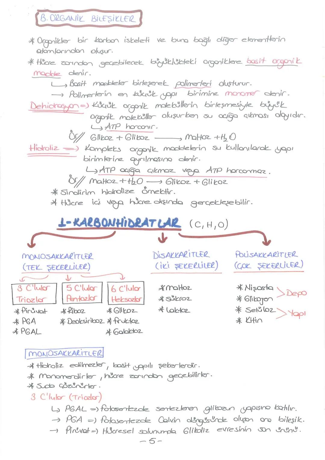 # - CANLILARIN TEMEL BİLESENLERİ-
INORGANIK
BİLEŞİKLER
*Su
*Mineraller
* Asitler
* Bazlar
* Tuzlor
ORGANIK
BILEŞİKLER
*Korbonhidratlar
* Y