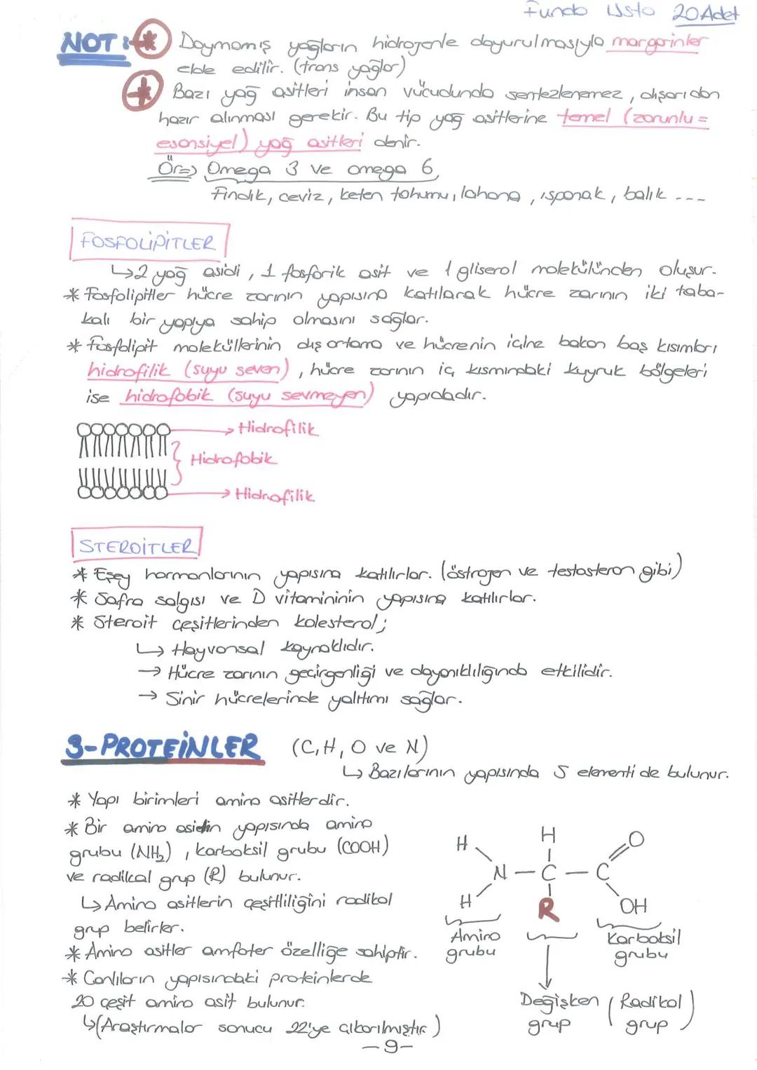 # - CANLILARIN TEMEL BİLESENLERİ-
INORGANIK
BİLEŞİKLER
*Su
*Mineraller
* Asitler
* Bazlar
* Tuzlor
ORGANIK
BILEŞİKLER
*Korbonhidratlar
* Y