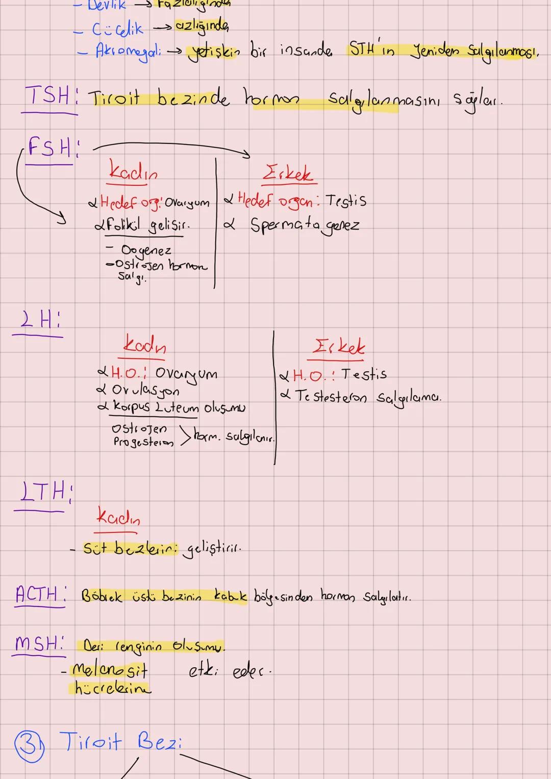 # ENDOKRIN SISTEM
Hormon: Özel bir Singal molekülü.
-kan ile vücuda taşınır.
1. Hipotalams
- Hipofiz bezinin kontrolünü sağlar.
- ADH ve