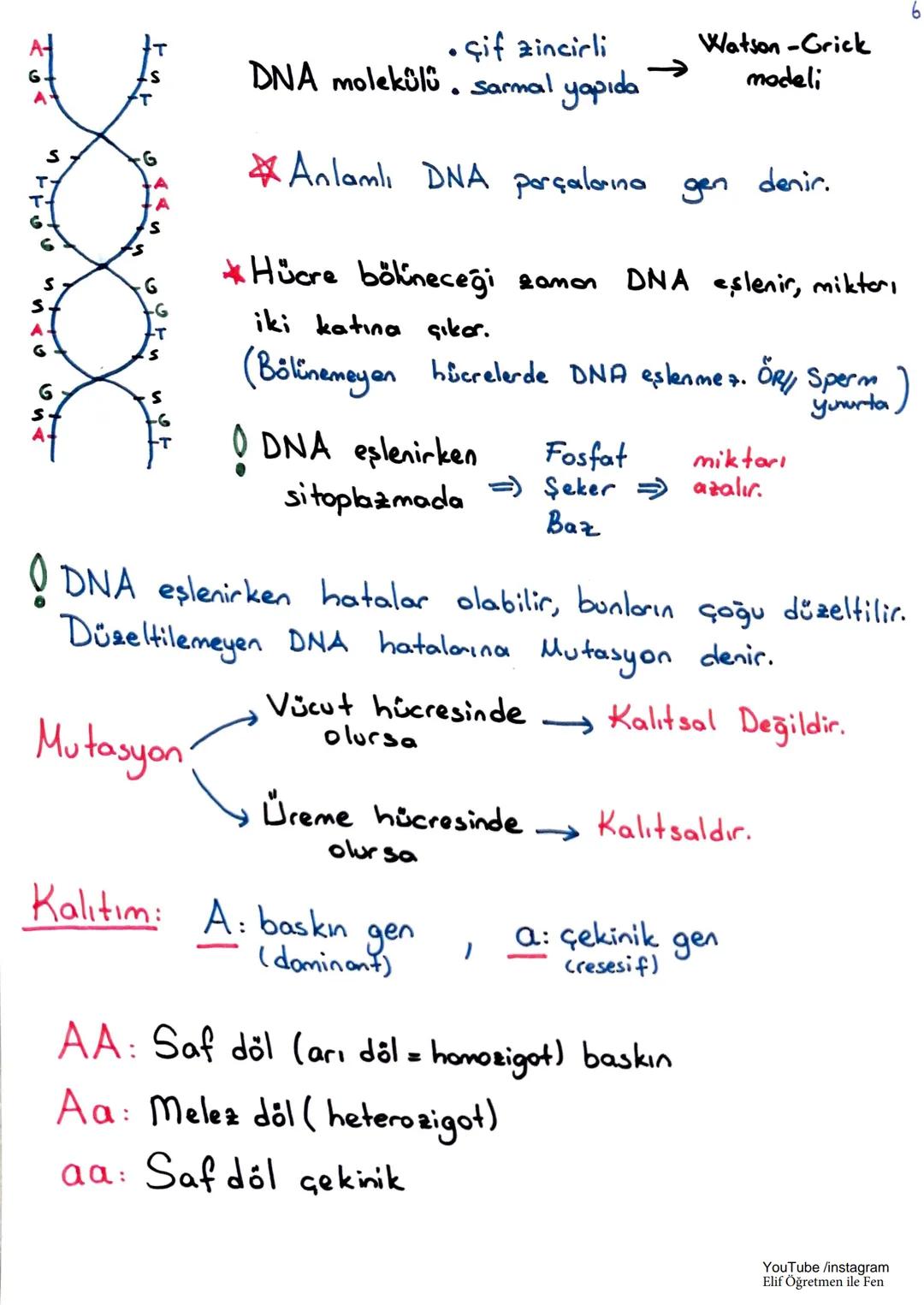 LGS 1. Dönem Tekrar
1. Ünite : Mevsimler ve İklim
Dünya'nın
Hareketleri
Günlük hareket
Dünya'nın kendi ekseni
etrafinda dönmesi (24 saat)
Yı