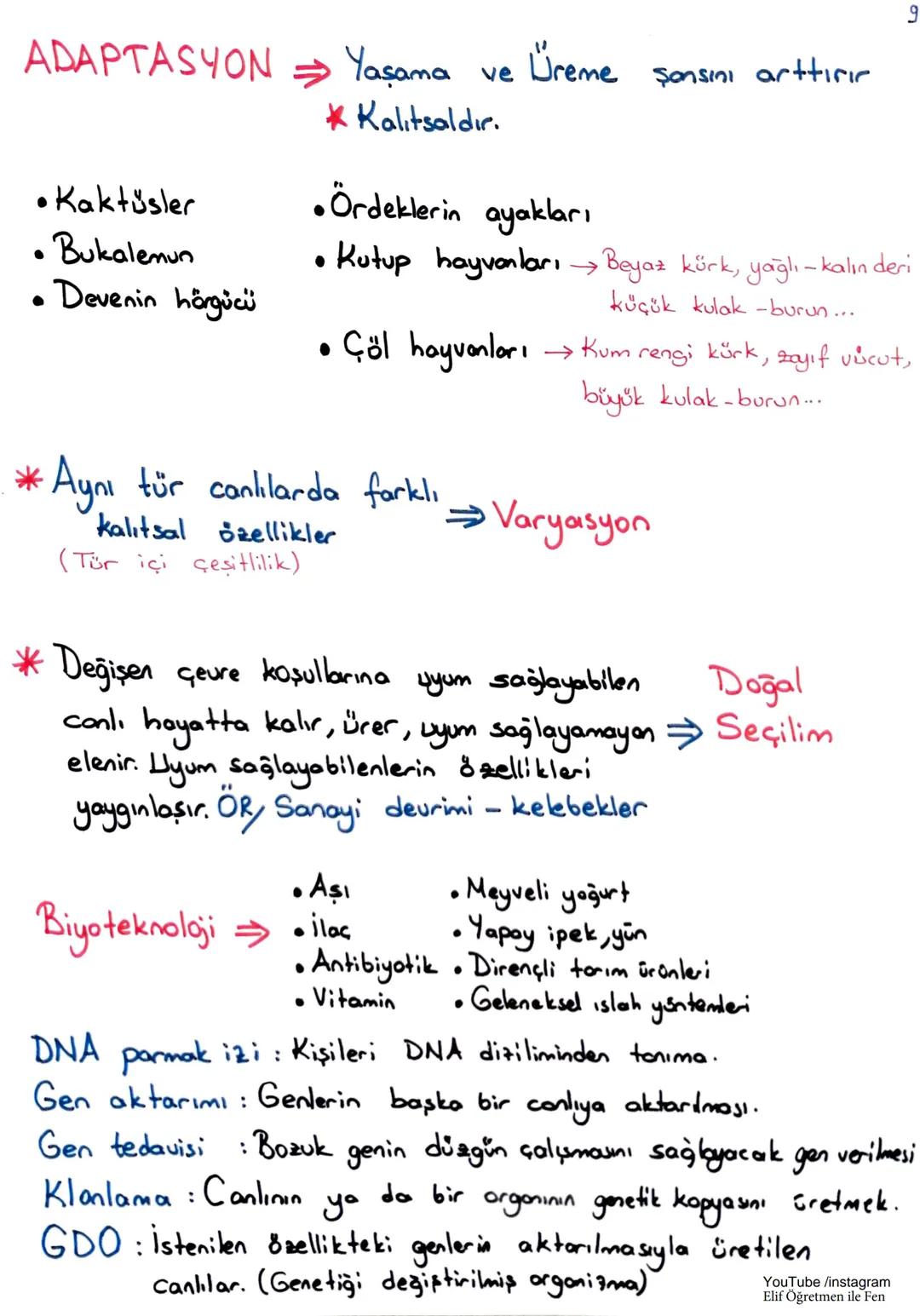 LGS 1. Dönem Tekrar
1. Ünite : Mevsimler ve İklim
Dünya'nın
Hareketleri
Günlük hareket
Dünya'nın kendi ekseni
etrafinda dönmesi (24 saat)
Yı
