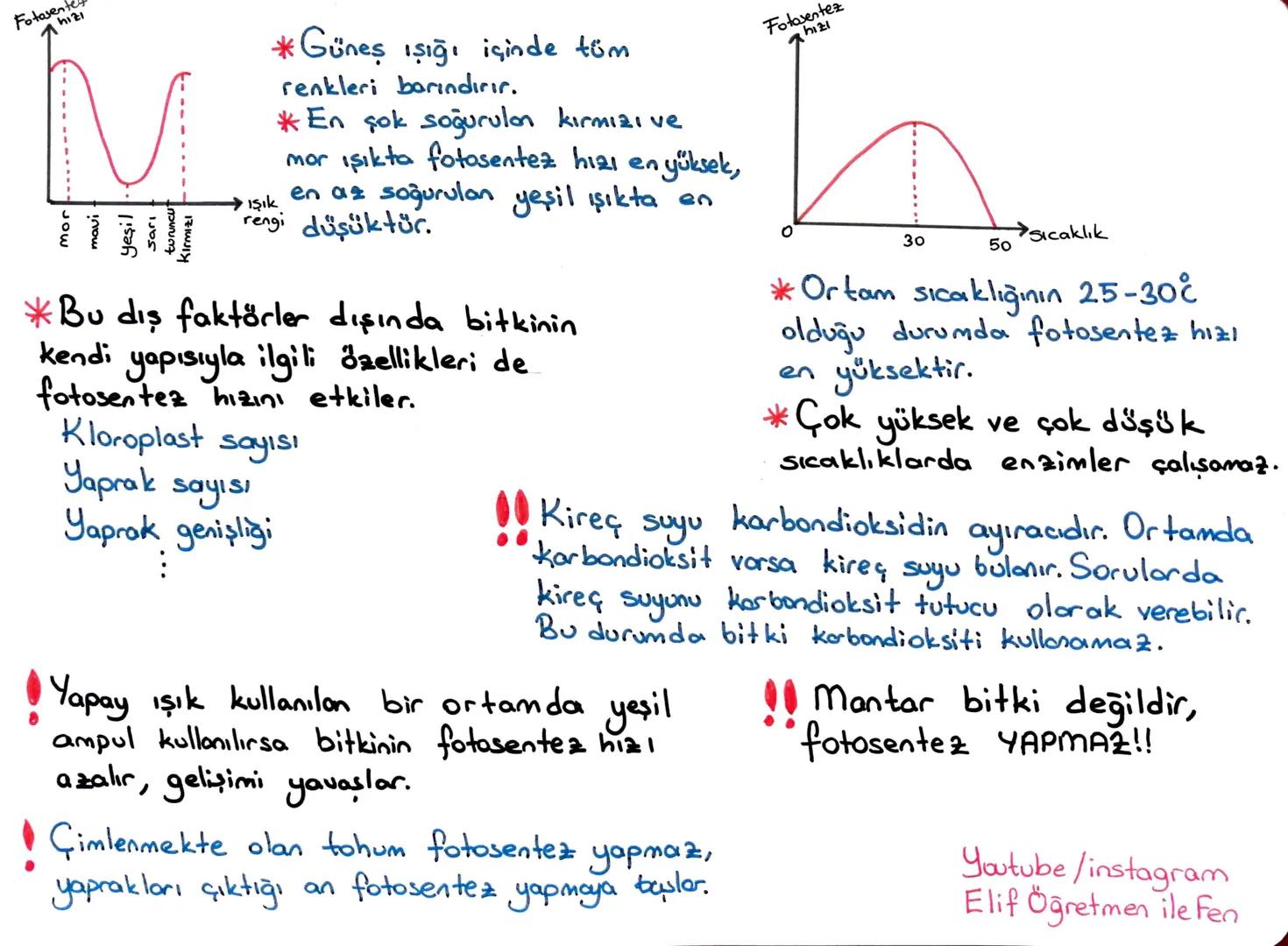 # LGS 2. DÖNEM TEKRAR
~MADDENİN ISI İLE ETKİLEŞİMİ~
ELİF
AYDIN KABAN
ISI Enerji, doğrudan ölçülemez, birimi joule ya da kalori, kalorimet