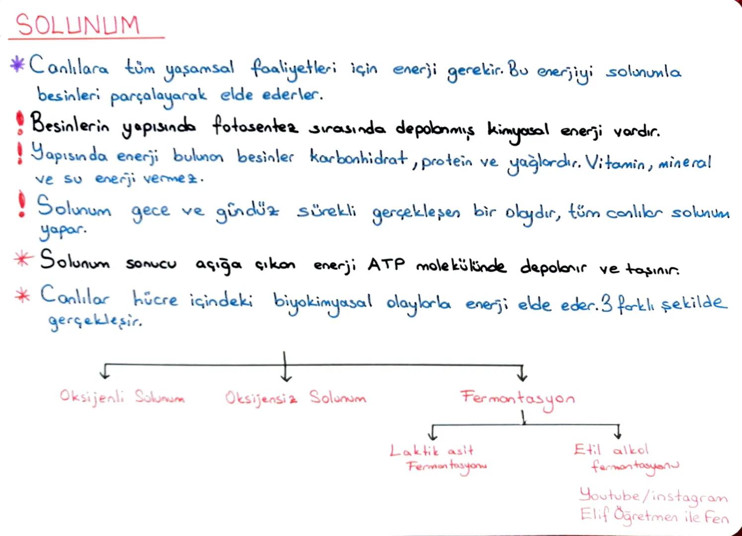# LGS 2. DÖNEM TEKRAR
~MADDENİN ISI İLE ETKİLEŞİMİ~
ELİF
AYDIN KABAN
ISI Enerji, doğrudan ölçülemez, birimi joule ya da kalori, kalorimet