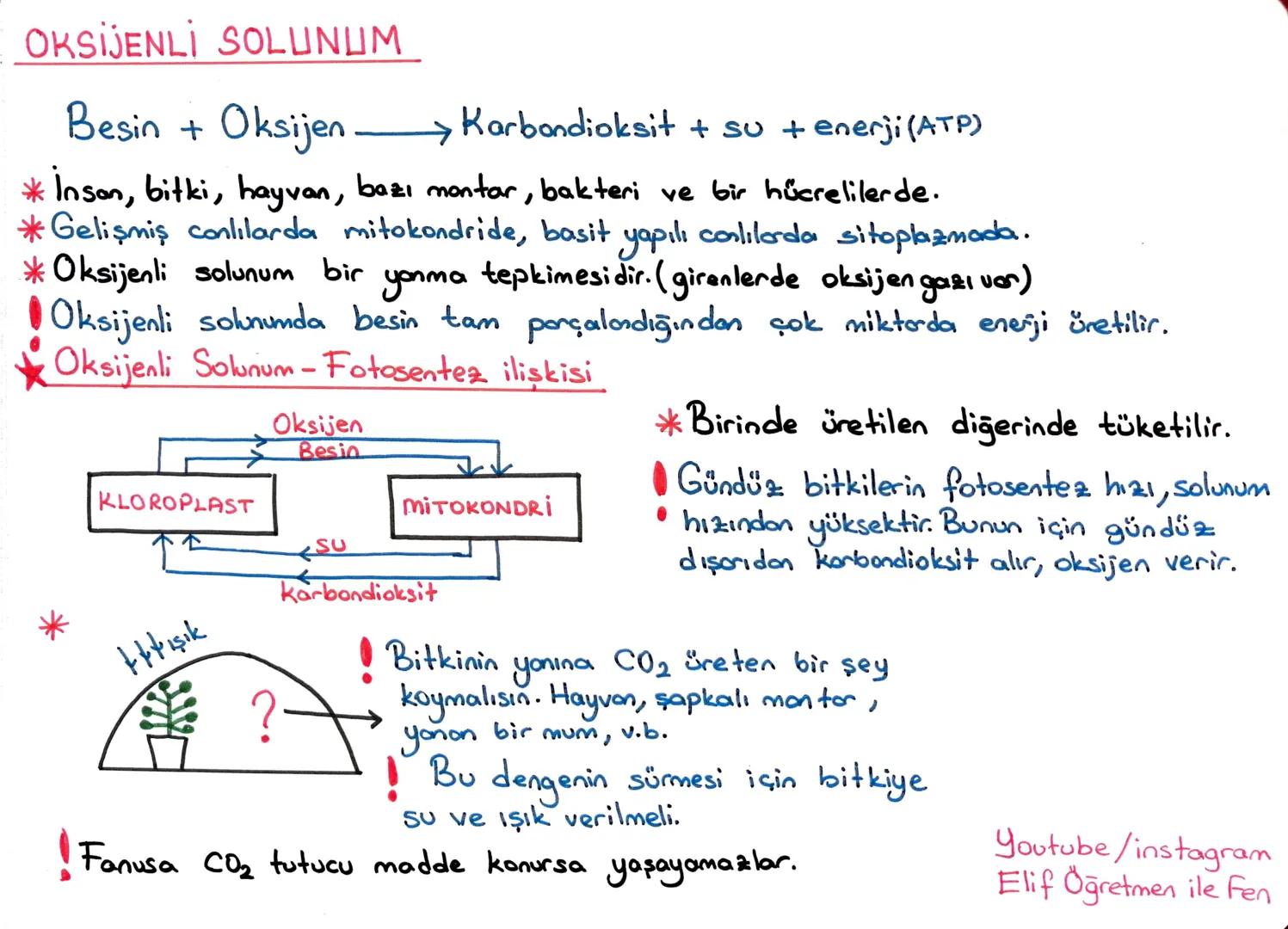 # LGS 2. DÖNEM TEKRAR
~MADDENİN ISI İLE ETKİLEŞİMİ~
ELİF
AYDIN KABAN
ISI Enerji, doğrudan ölçülemez, birimi joule ya da kalori, kalorimet