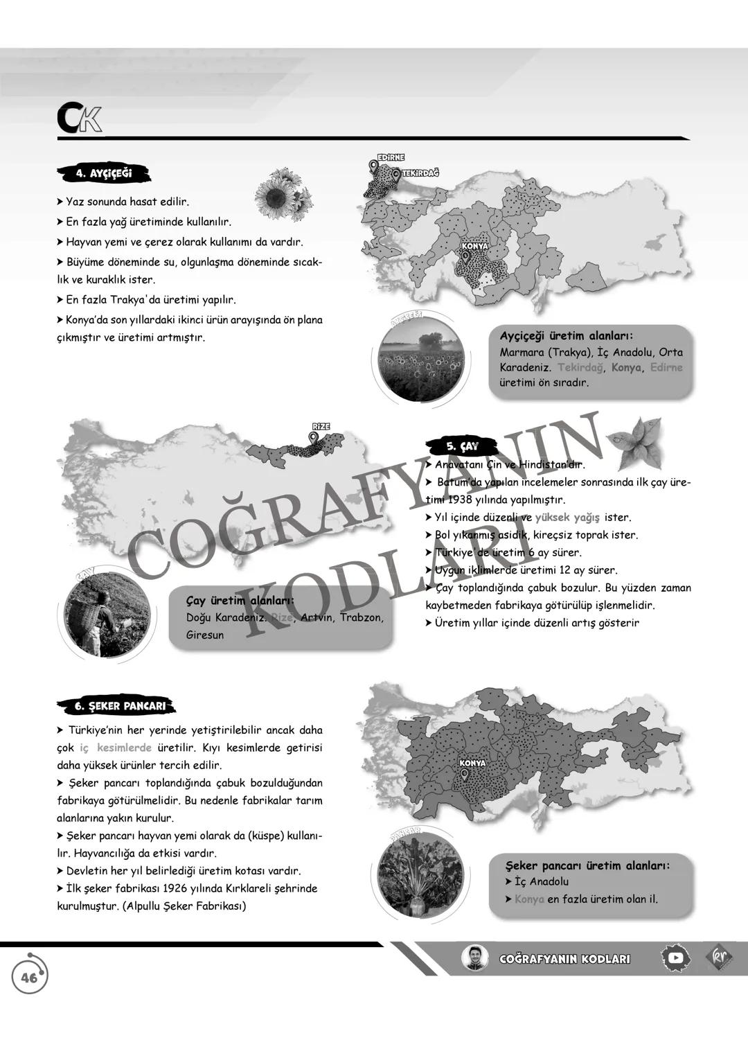 44
CK
TÜRKİYE'NİN TARIM ÜRÜNLERİ
A) TAHILLAR
1. BUĞDAY
➤ Olgunlaşma döneminde kuraklık ister.
➤ Türkiye genelinde yetiştirilen bir ürü