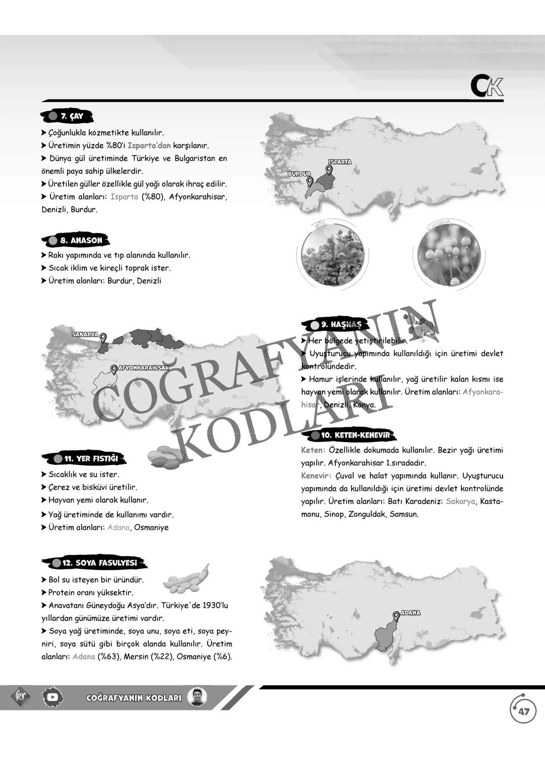 44
CK
TÜRKİYE'NİN TARIM ÜRÜNLERİ
A) TAHILLAR
1. BUĞDAY
➤ Olgunlaşma döneminde kuraklık ister.
➤ Türkiye genelinde yetiştirilen bir ürü