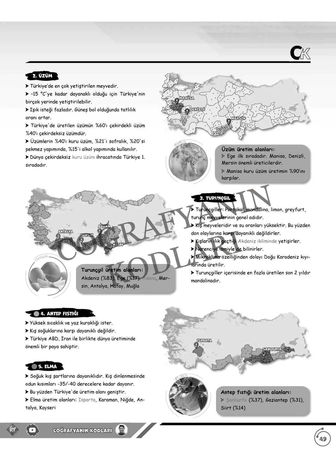 44
CK
TÜRKİYE'NİN TARIM ÜRÜNLERİ
A) TAHILLAR
1. BUĞDAY
➤ Olgunlaşma döneminde kuraklık ister.
➤ Türkiye genelinde yetiştirilen bir ürü