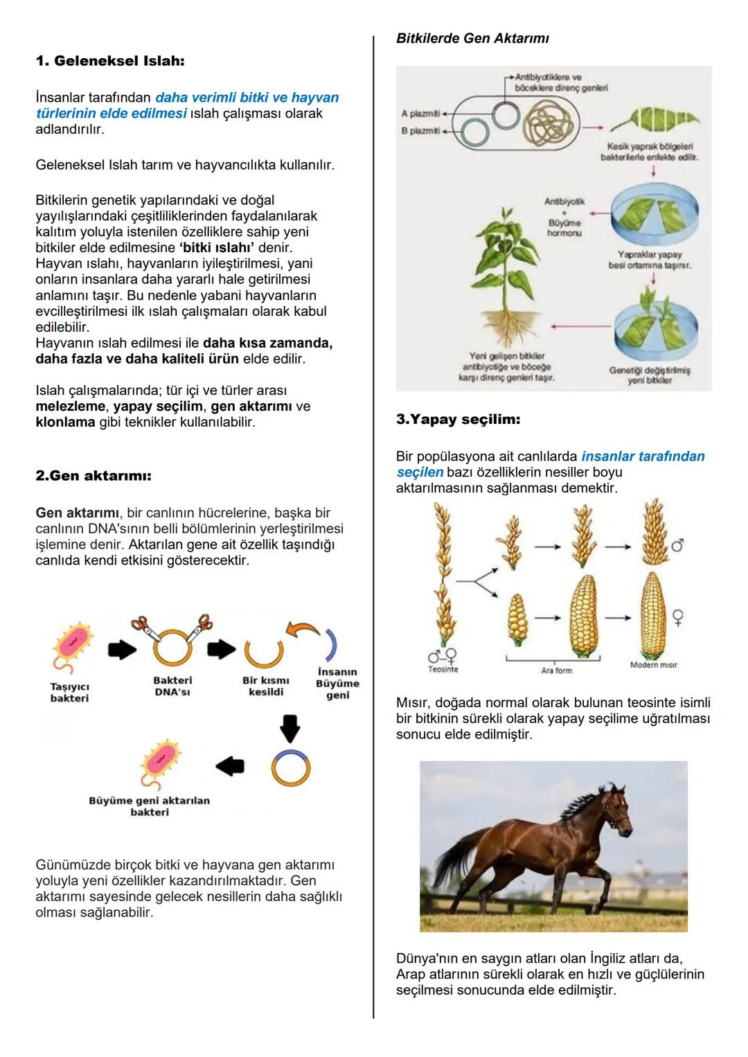 # BİYOTEKNOLOJİ
Biyoteknoloji
Biyoteknoloji
Bir dalında erik, diğer dalında kiraz olan bir ağaç
hayal ediniz. Büyümek için toprağa gereks