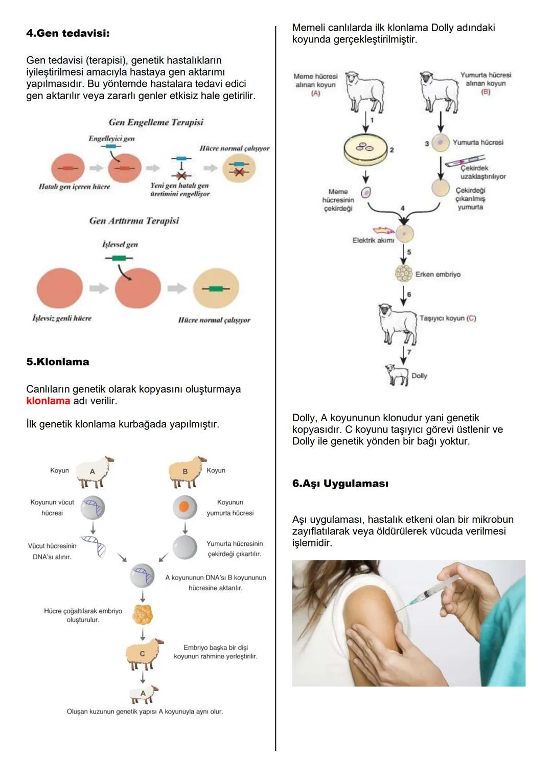 # BİYOTEKNOLOJİ
Biyoteknoloji
Biyoteknoloji
Bir dalında erik, diğer dalında kiraz olan bir ağaç
hayal ediniz. Büyümek için toprağa gereks