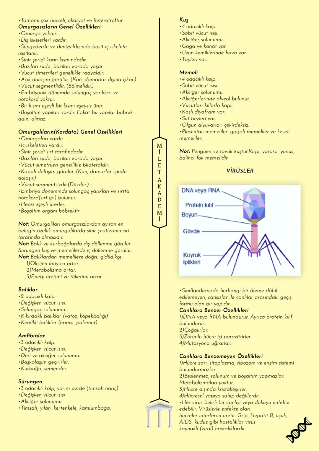 MİLET AKADEMİ
2020-2021 Konu Özetleri
Youtube kanalımıza abone olmayı unutmayın! MILET AKADEMİ
BİYOLOJİ
KONU ÖZETİ
E CANLILARIN ORTAK
ÖZELLİ