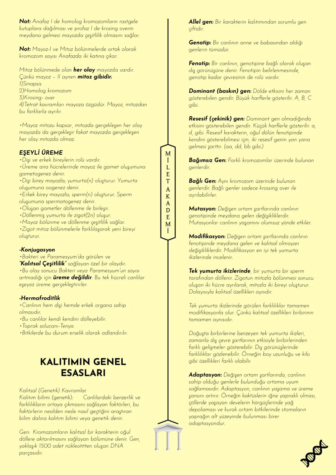 MİLET AKADEMİ
2020-2021 Konu Özetleri
Youtube kanalımıza abone olmayı unutmayın! MILET AKADEMİ
BİYOLOJİ
KONU ÖZETİ
E CANLILARIN ORTAK
ÖZELLİ