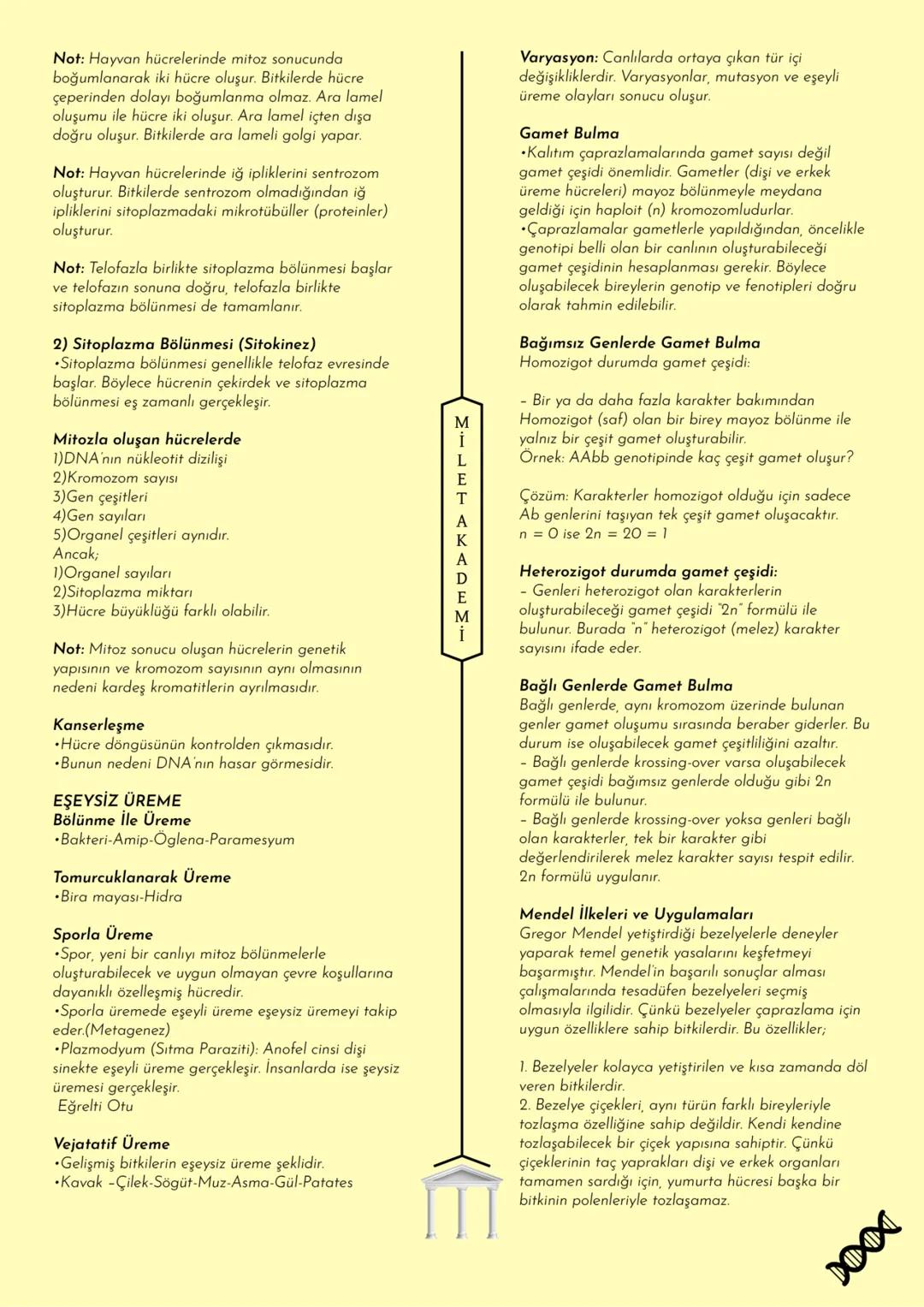 MİLET AKADEMİ
2020-2021 Konu Özetleri
Youtube kanalımıza abone olmayı unutmayın! MILET AKADEMİ
BİYOLOJİ
KONU ÖZETİ
E CANLILARIN ORTAK
ÖZELLİ