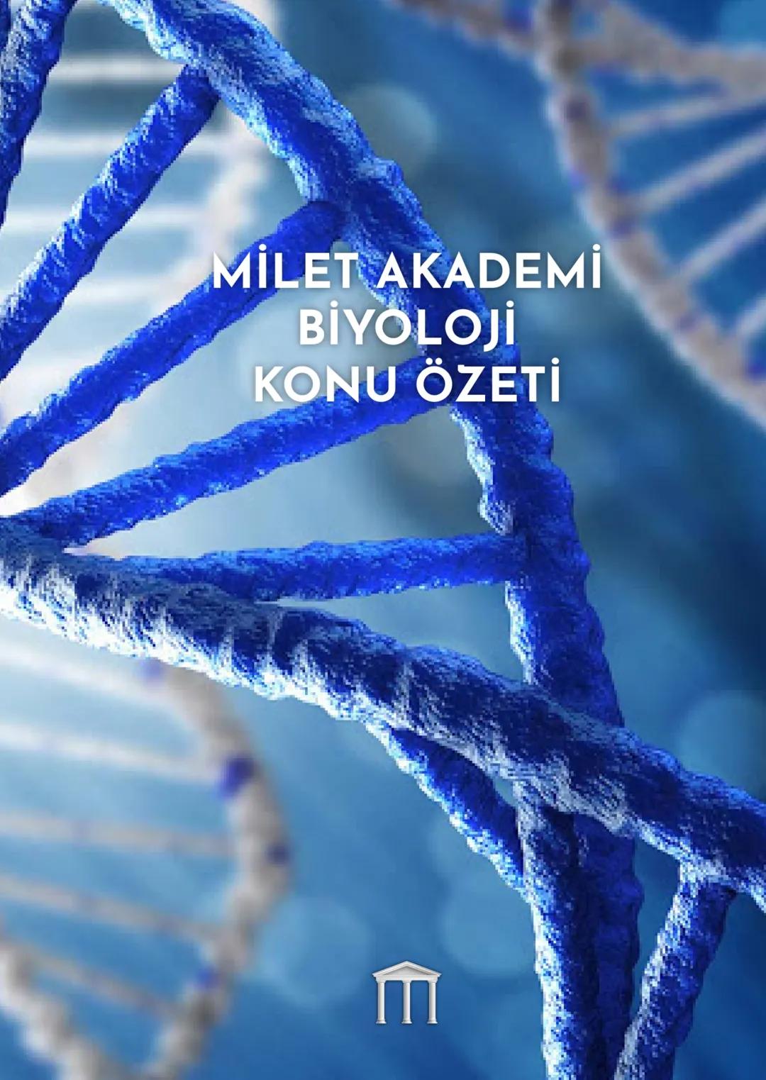 MİLET AKADEMİ
2020-2021 Konu Özetleri
Youtube kanalımıza abone olmayı unutmayın! MILET AKADEMİ
BİYOLOJİ
KONU ÖZETİ
E CANLILARIN ORTAK
ÖZELLİ