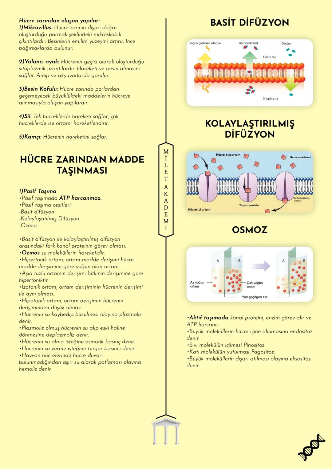 MİLET AKADEMİ
2020-2021 Konu Özetleri
Youtube kanalımıza abone olmayı unutmayın! MILET AKADEMİ
BİYOLOJİ
KONU ÖZETİ
E CANLILARIN ORTAK
ÖZELLİ