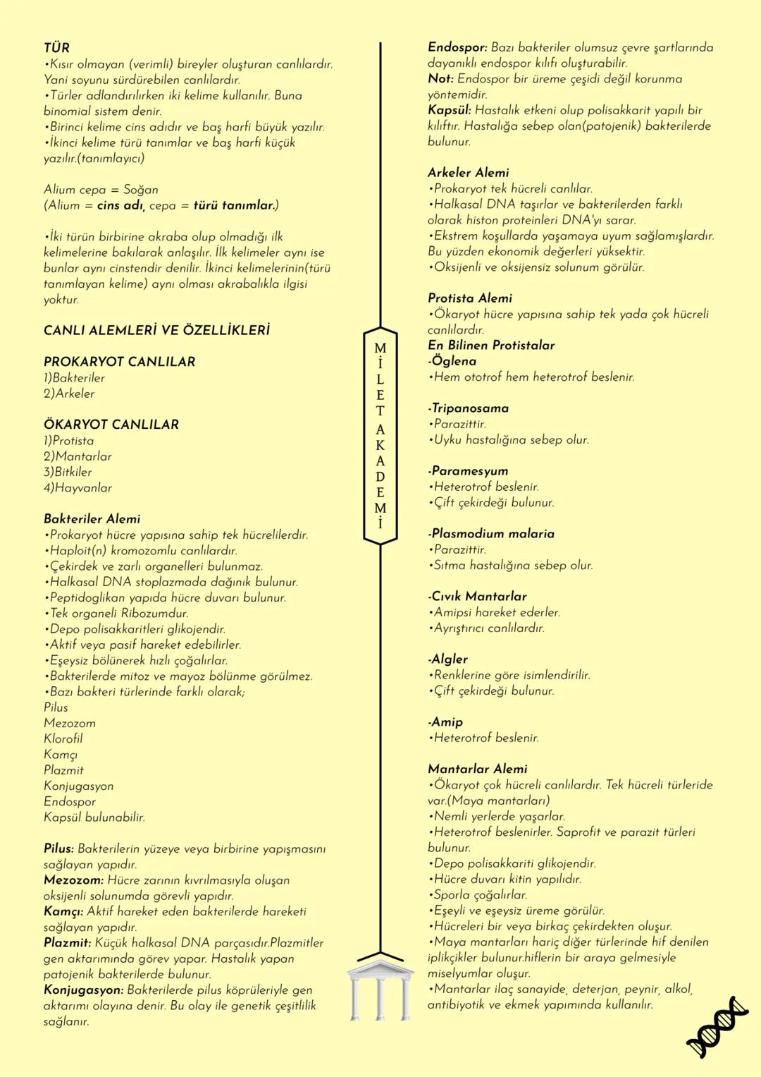 MİLET AKADEMİ
2020-2021 Konu Özetleri
Youtube kanalımıza abone olmayı unutmayın! MILET AKADEMİ
BİYOLOJİ
KONU ÖZETİ
E CANLILARIN ORTAK
ÖZELLİ