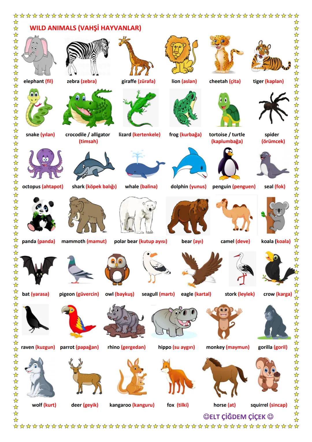 UNIT 1 APPEARANCE & PERSONALITY
DESCRIBING CHARACTERS/PEOPLE
Bir kişiyi tanımlarken kişisel ve fiziksel özelliklerini kullanırız.
→Bir kişin