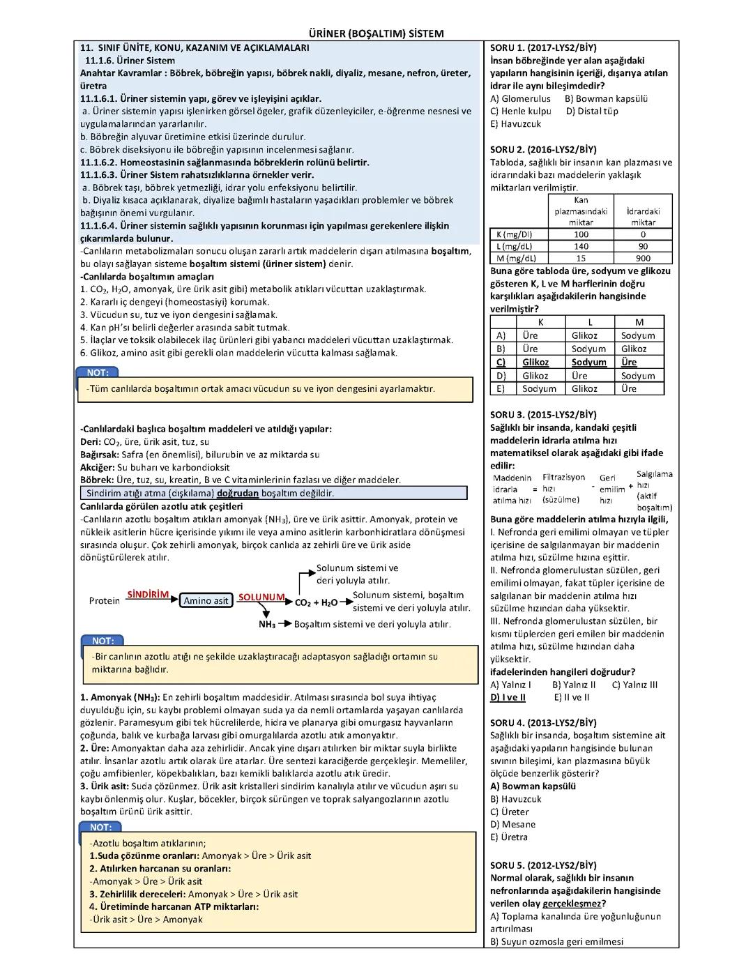 Üriner (boşaltım) sistemi tamamı , hastalıklar dahil