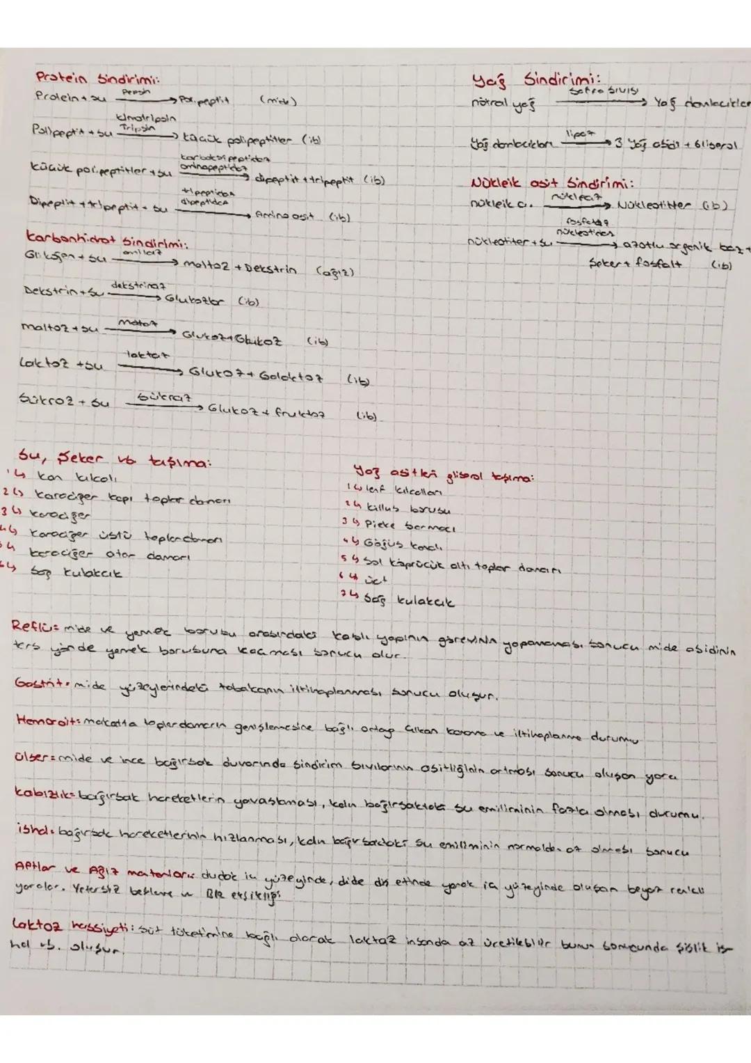 5.5.
(
kimyasal bindirimde alp hercarma
Epitel doku: botün argentorn in yutayles boror
karbonhidratlorn kimyasal sindirimi ağızda başlar.
Si