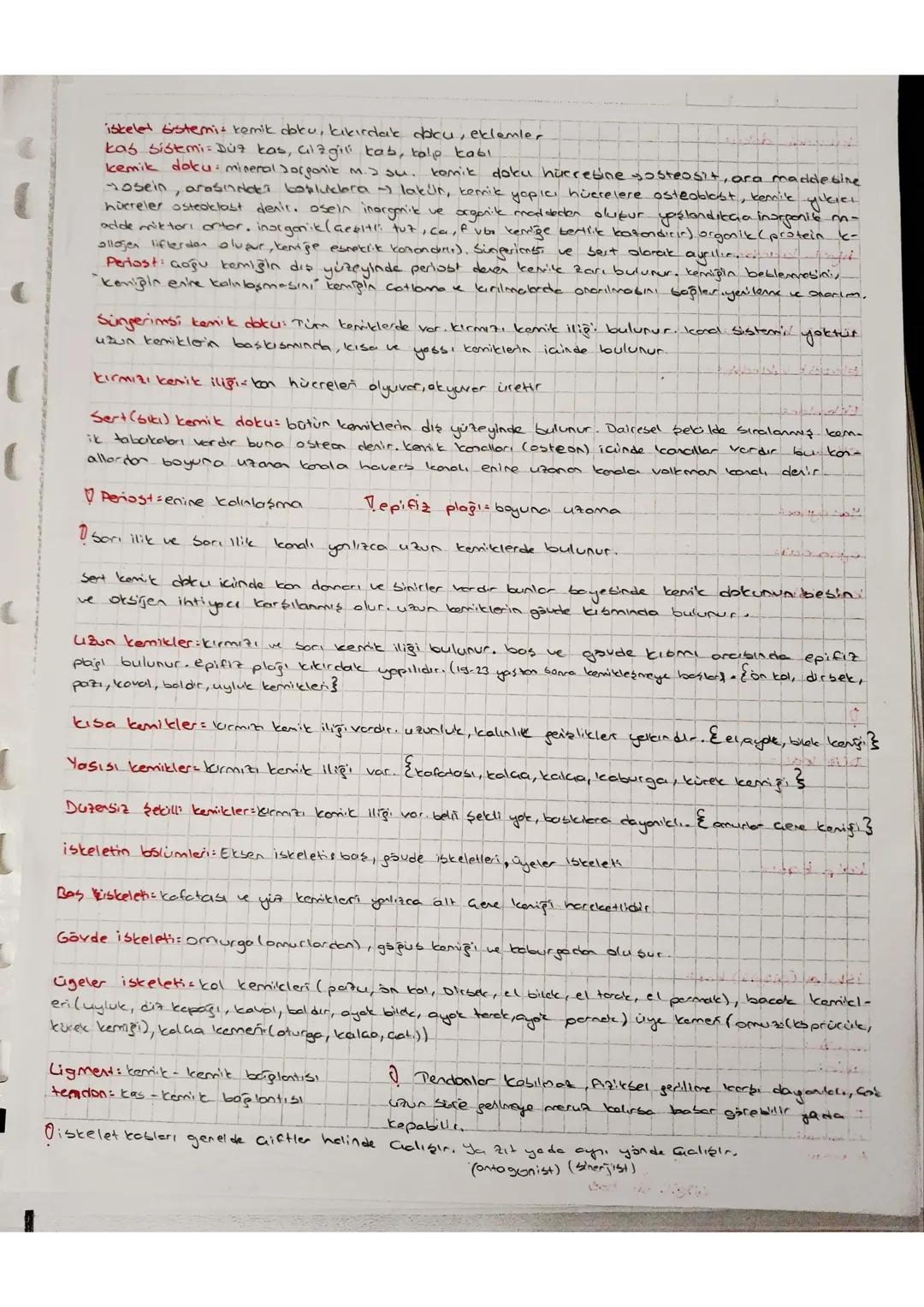 - iskelet bistemit kemik doku, kıkırdak adalku, eklemler
- kas sistemi Düz kas, Cilagili kab, kalp kabı
- kemik doku mineral Jorganiz M.J Su