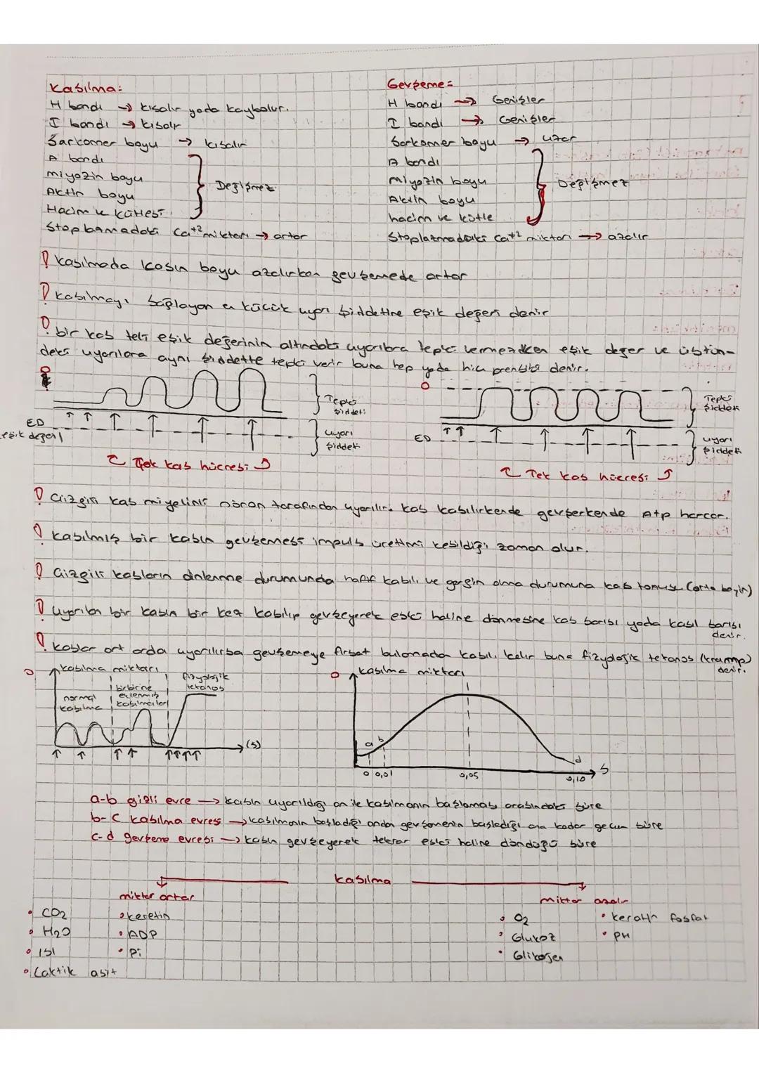 - iskelet bistemit kemik doku, kıkırdak adalku, eklemler
- kas sistemi Düz kas, Cilagili kab, kalp kabı
- kemik doku mineral Jorganiz M.J Su