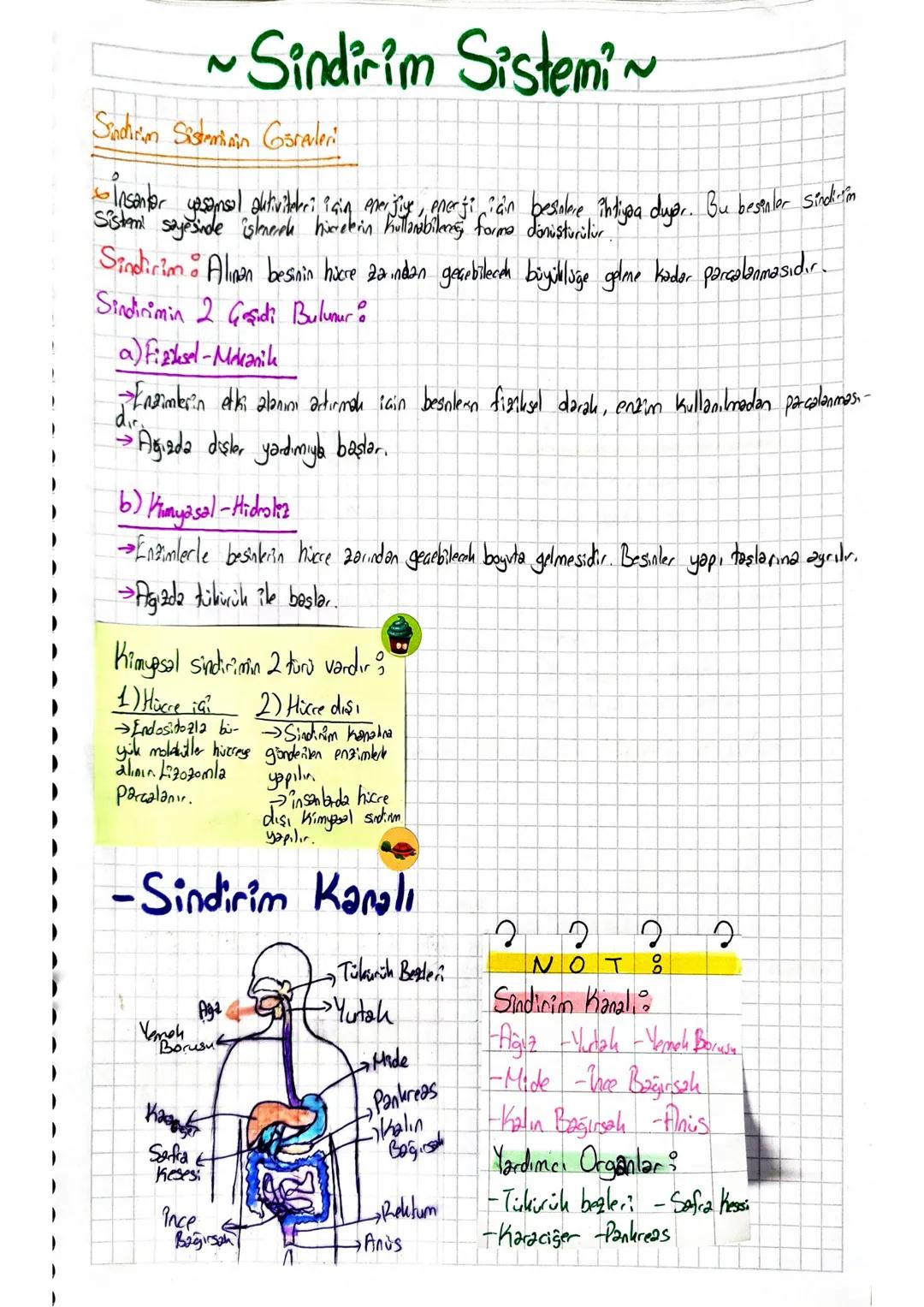 ~Sindirim Sistemi~
2
Sindirim Sisteminin Görevleri
0
- Insantor yasansol dutividauri iain marijiye, enerji için besinlere indigna diyor. Bu