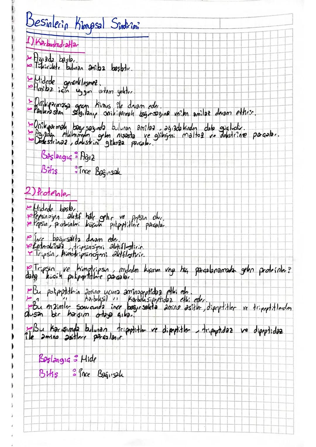 ~Sindirim Sistemi~
2
Sindirim Sisteminin Görevleri
0
- Insantor yasansol dutividauri iain marijiye, enerji için besinlere indigna diyor. Bu