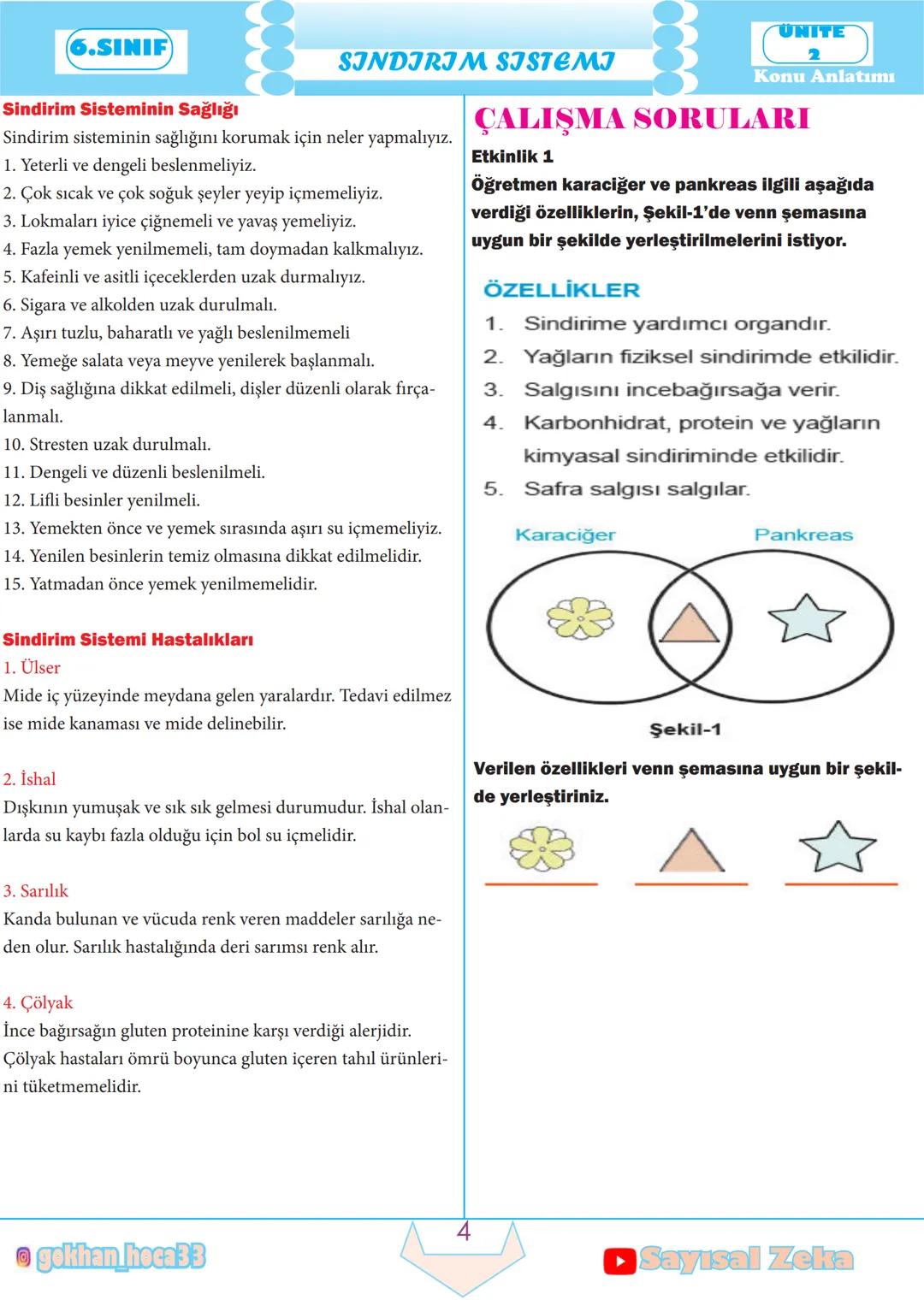 6.SINIF
SINDIRIM SISTEMI
SINDIRIM SISTEMI
► Yaşamımızı devam ettirmek için enerjiye ihtiyaç duya-
rız ve bu enerjiyi yediğimiz besinlerden k