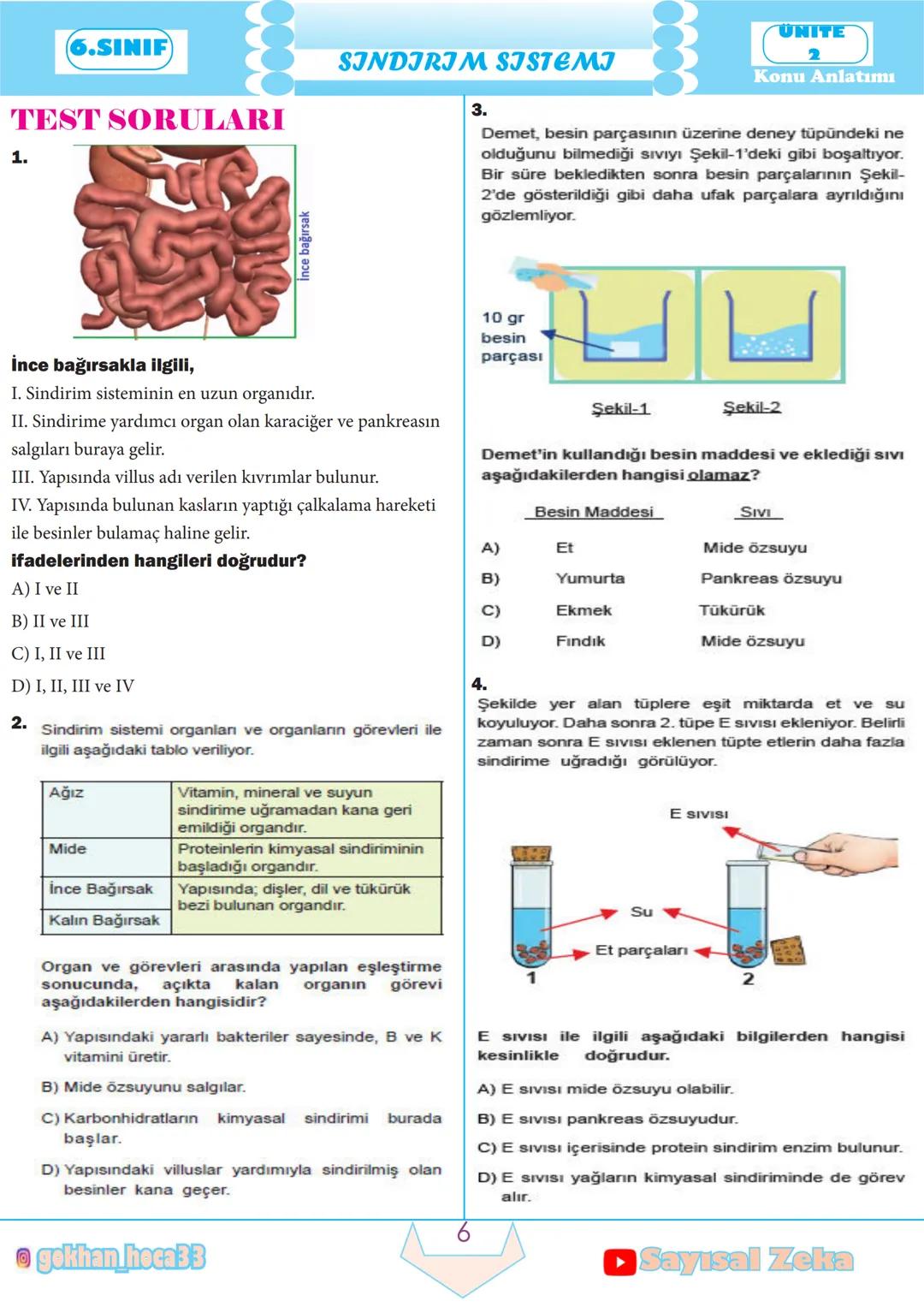 6.SINIF
SINDIRIM SISTEMI
SINDIRIM SISTEMI
► Yaşamımızı devam ettirmek için enerjiye ihtiyaç duya-
rız ve bu enerjiyi yediğimiz besinlerden k