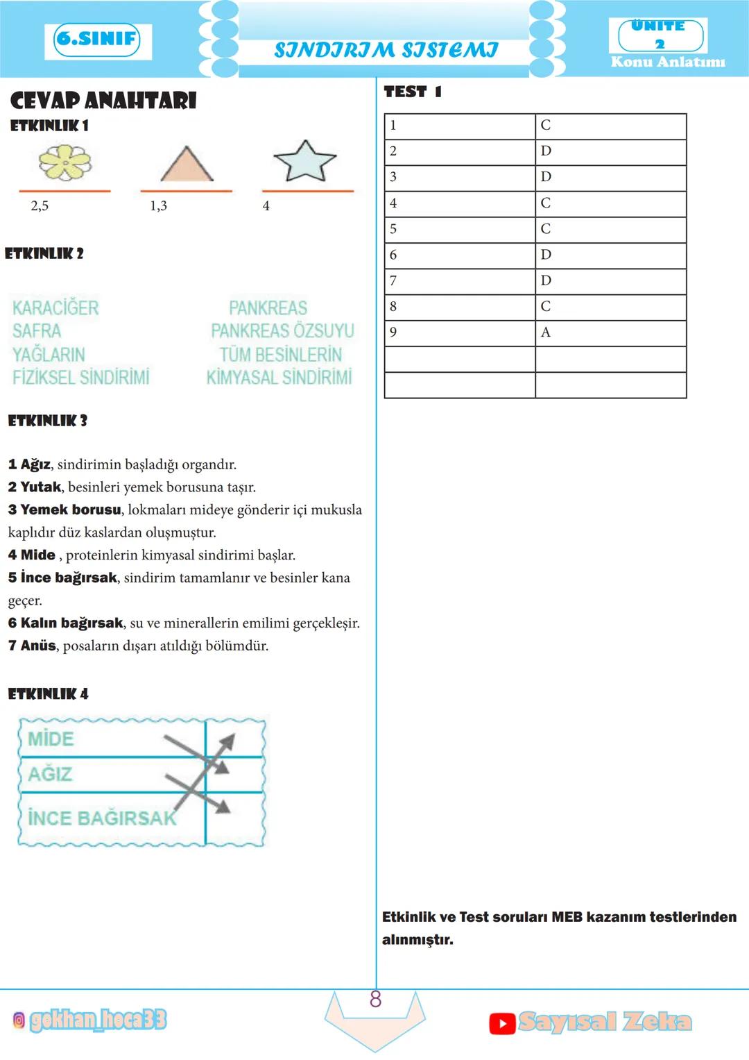 6.SINIF
SINDIRIM SISTEMI
SINDIRIM SISTEMI
► Yaşamımızı devam ettirmek için enerjiye ihtiyaç duya-
rız ve bu enerjiyi yediğimiz besinlerden k