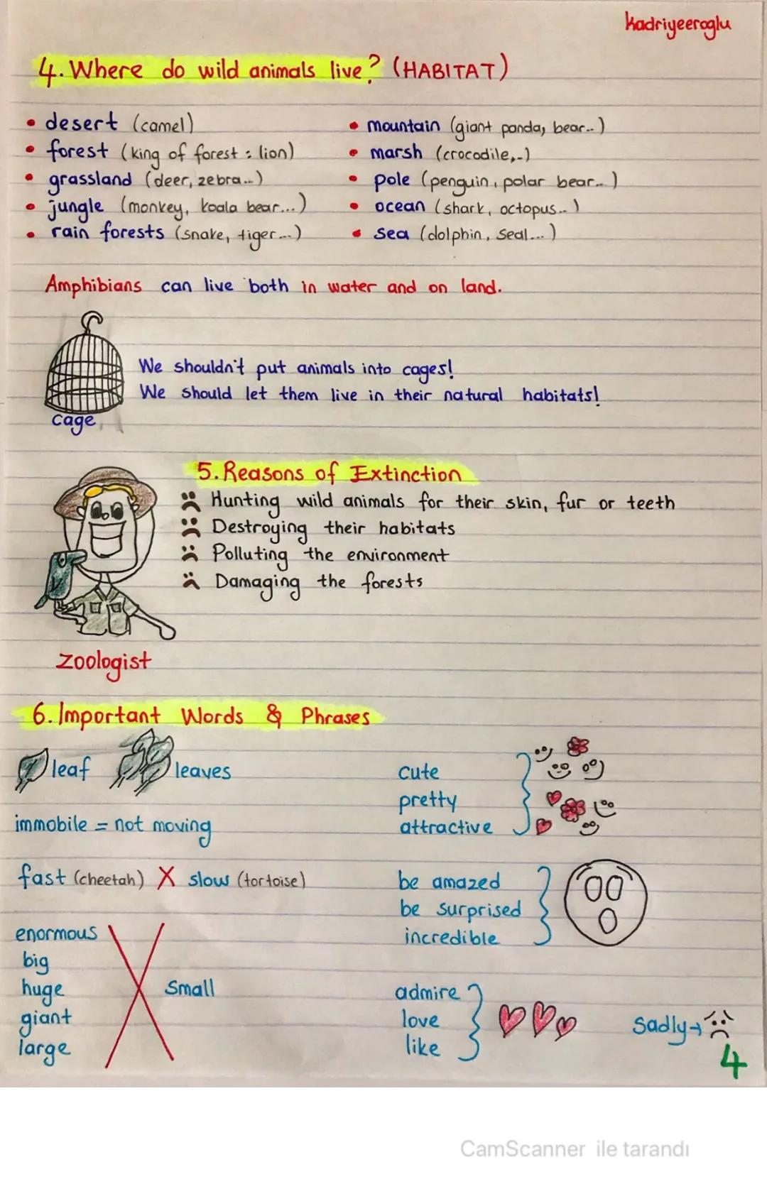 Kadriyeeroglu
UNIT 4-WILD ANIMALS
• cat
domestic animals
• elephant wild animals
• dog
• tiger
1. Animals Body Parts Characteristics
tus