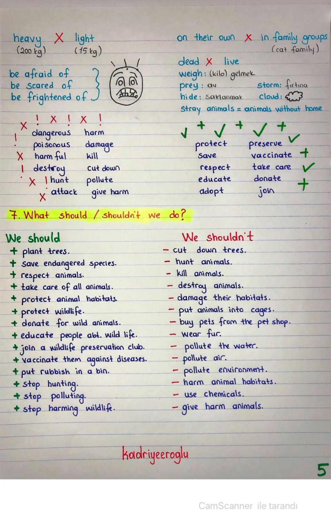 Kadriyeeroglu
UNIT 4-WILD ANIMALS
• cat
domestic animals
• elephant wild animals
• dog
• tiger
1. Animals Body Parts Characteristics
tus