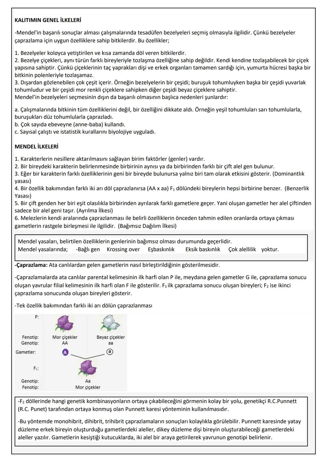 KALITIMIN GENEL İLKELERİ
-Mendel'in başarılı sonuçlar alması çalışmalarında tesadüfen bezelyeleri seçmiş olmasıyla ilgilidir. Çünkü bezelyel
